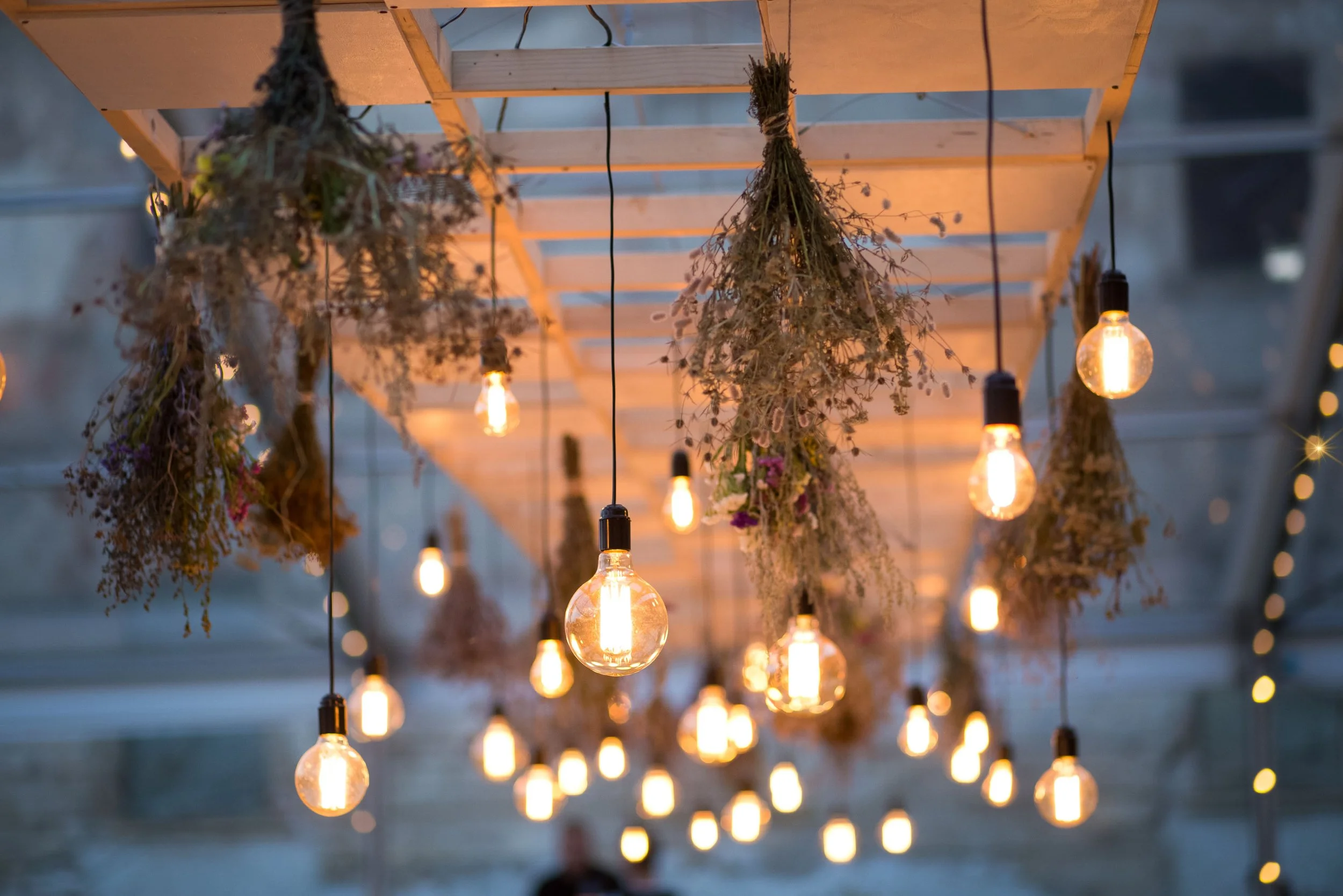 Lights on Wood 1.jpg