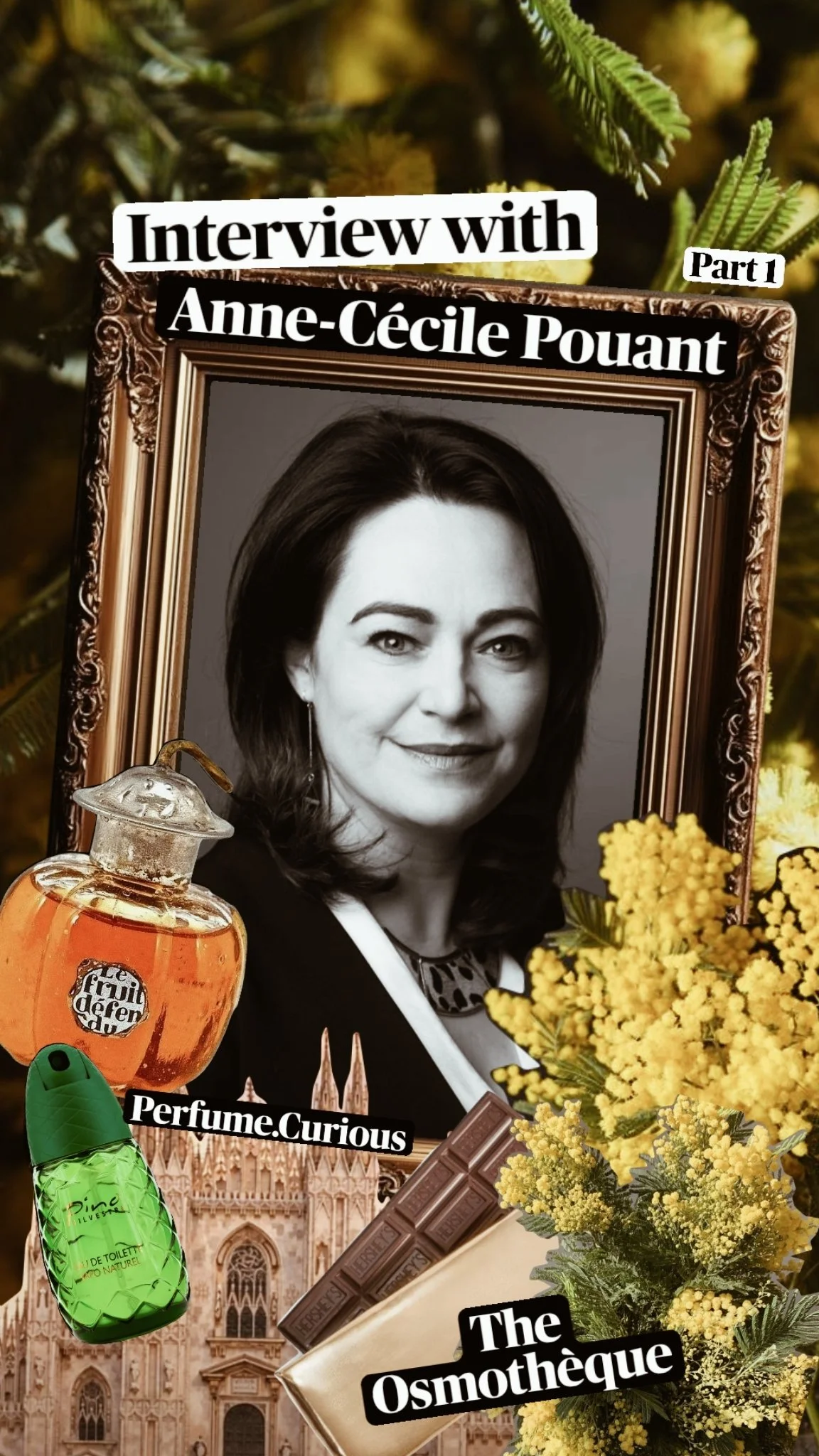 Mimosa, Memory, and the World’s Largest Scent Archive: Meeting Anne-Cécile Pouant of the Osmothèque - Part 1