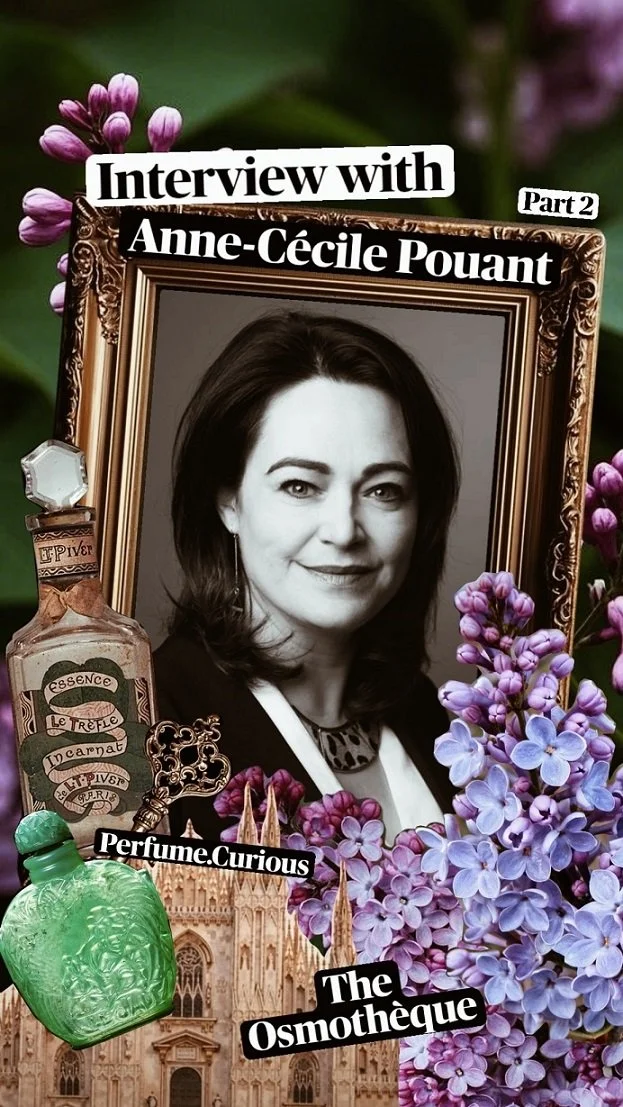 Mimosa, Memory, and the World’s Largest Scent Archive: Meeting Anne-Cécile Pouant of the Osmothèque - Part 2