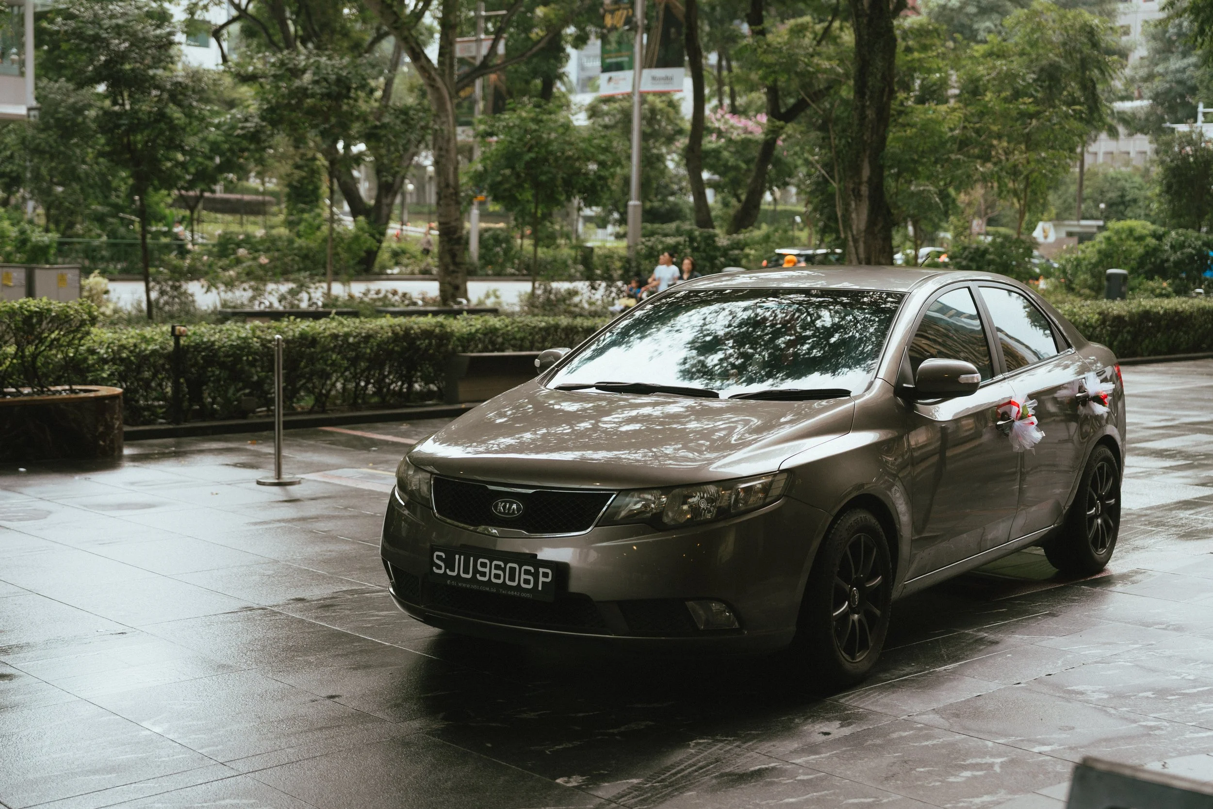 ST_01496.jpg