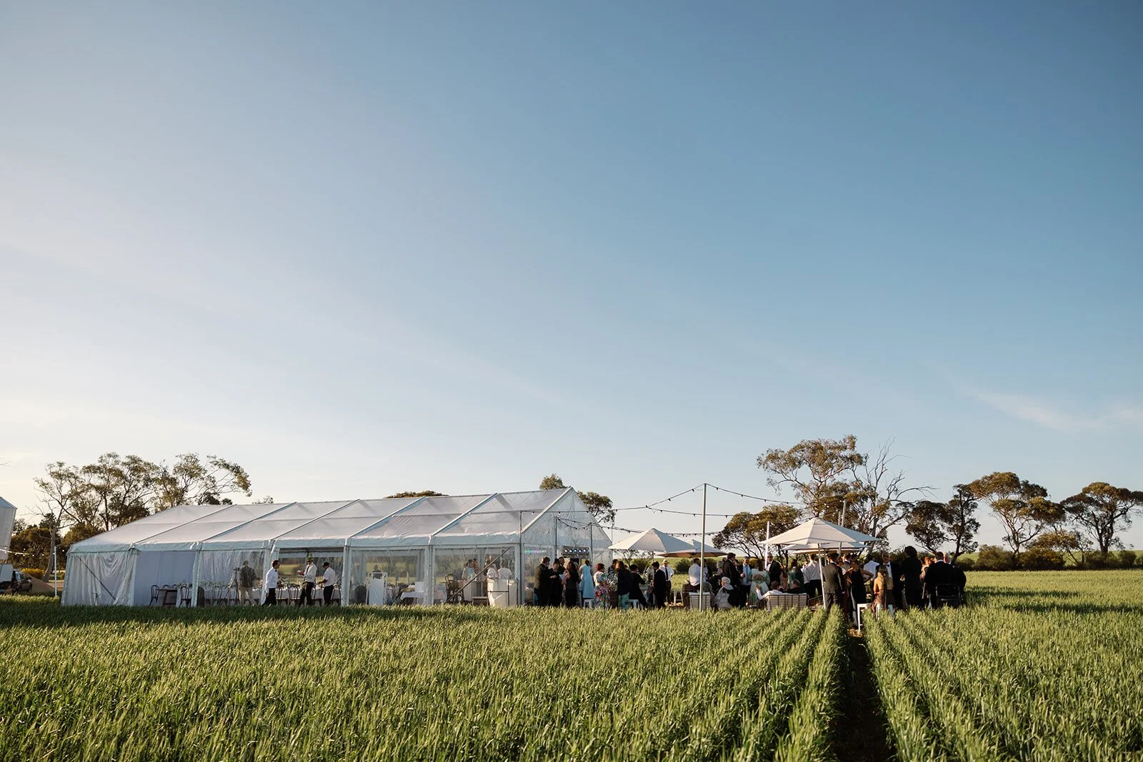 HannahJames_Smith+ArcherPhotography_Reception-part1_0028.jpg
