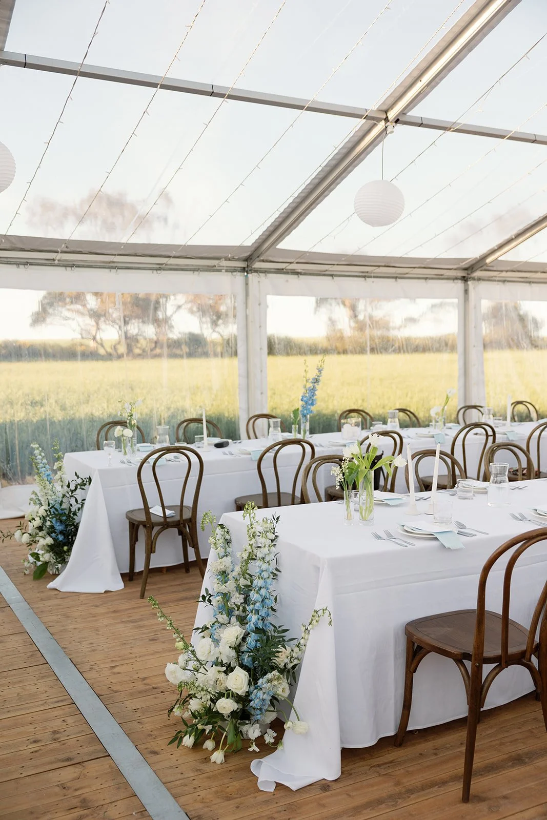 HannahJames_Smith+ArcherPhotography_Reception-part1_0020.jpg