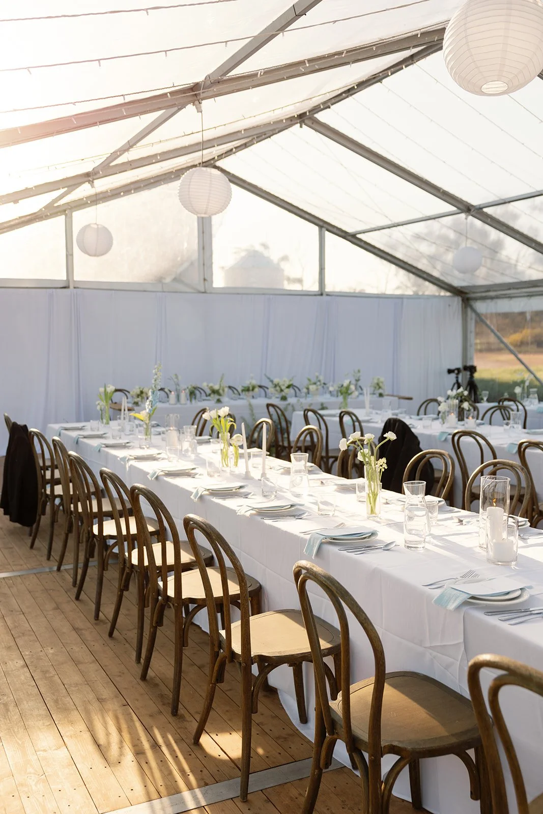 HannahJames_Smith+ArcherPhotography_Reception-part1_0019.jpg