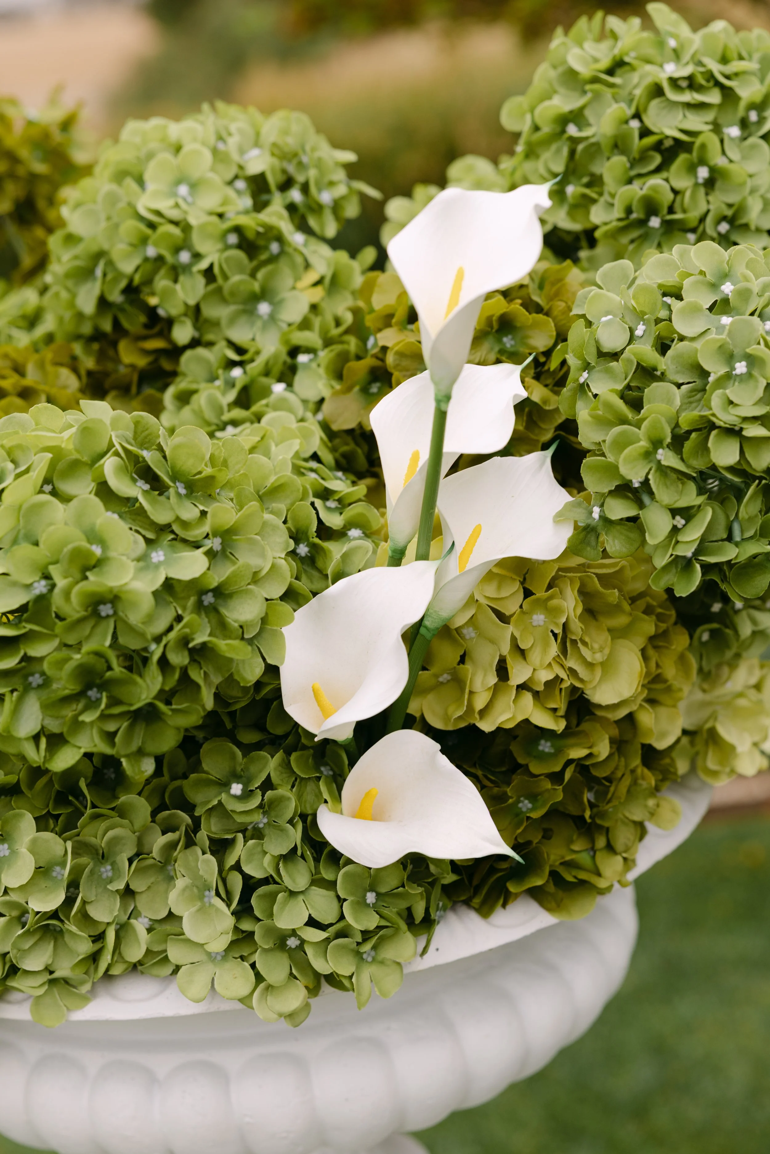 Madi and Charlie x Ashleigh Haase Photographyy-63.JPG