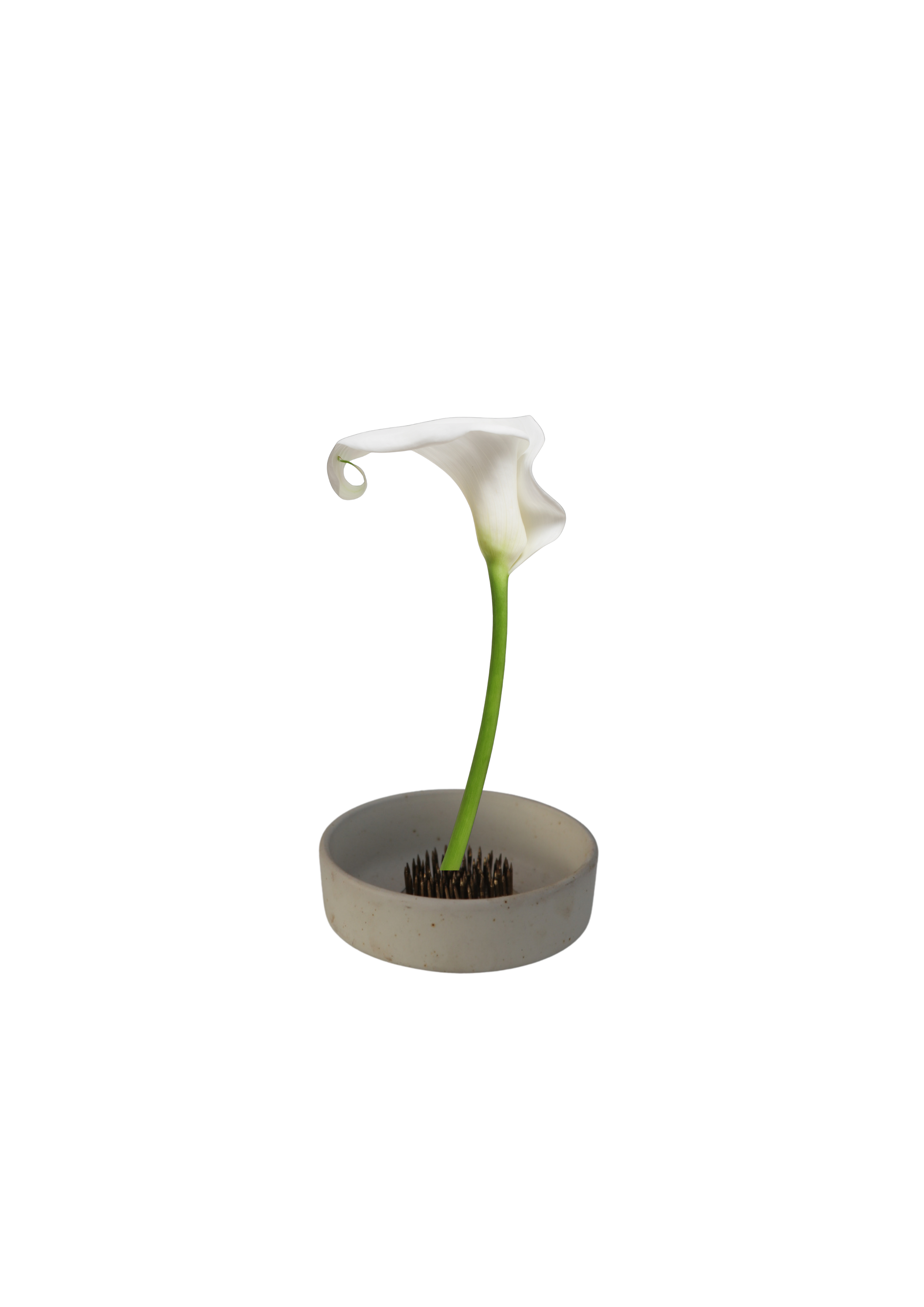Untitled design.png