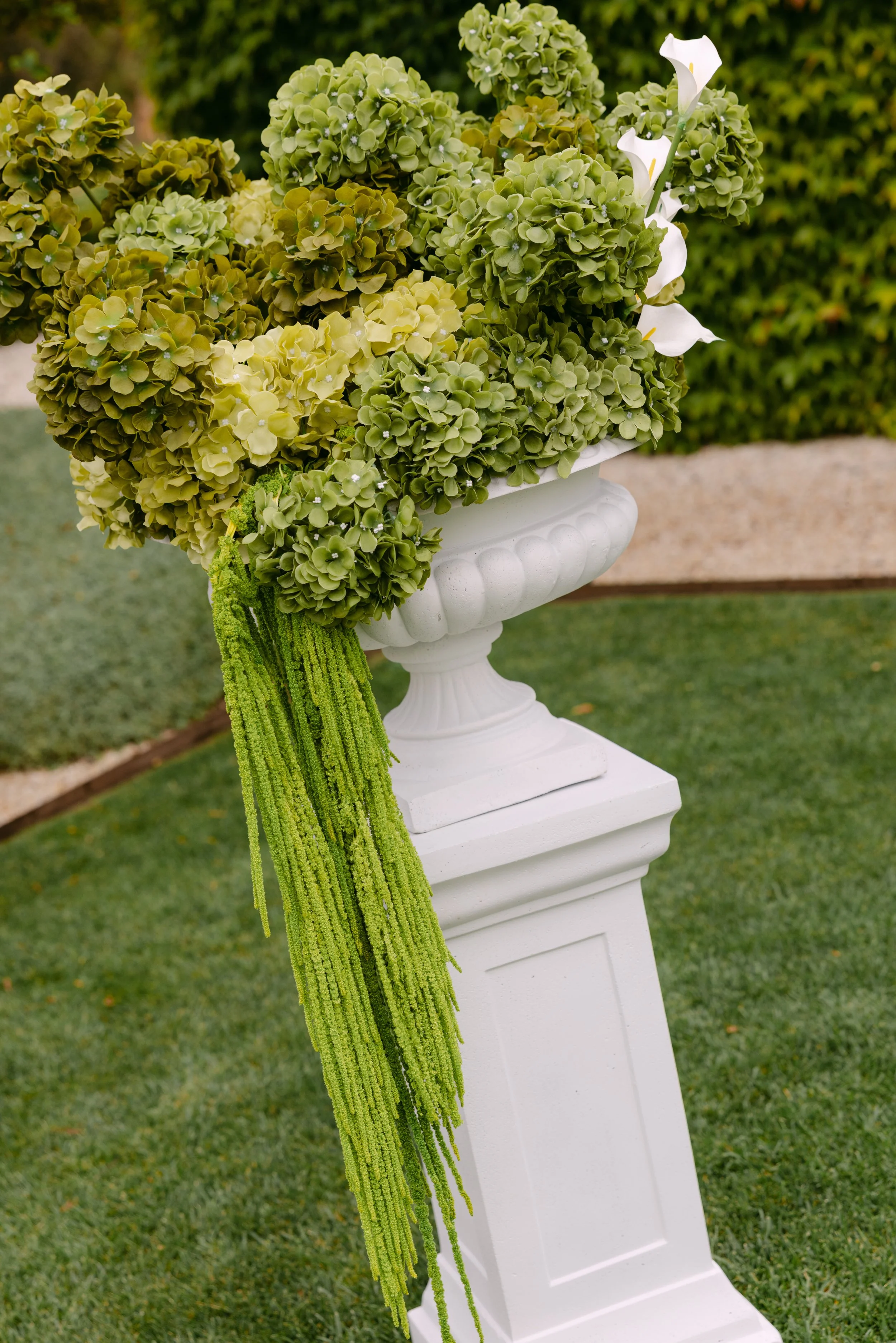 Madi and Charlie x Ashleigh Haase Photographyy-62 2.JPG