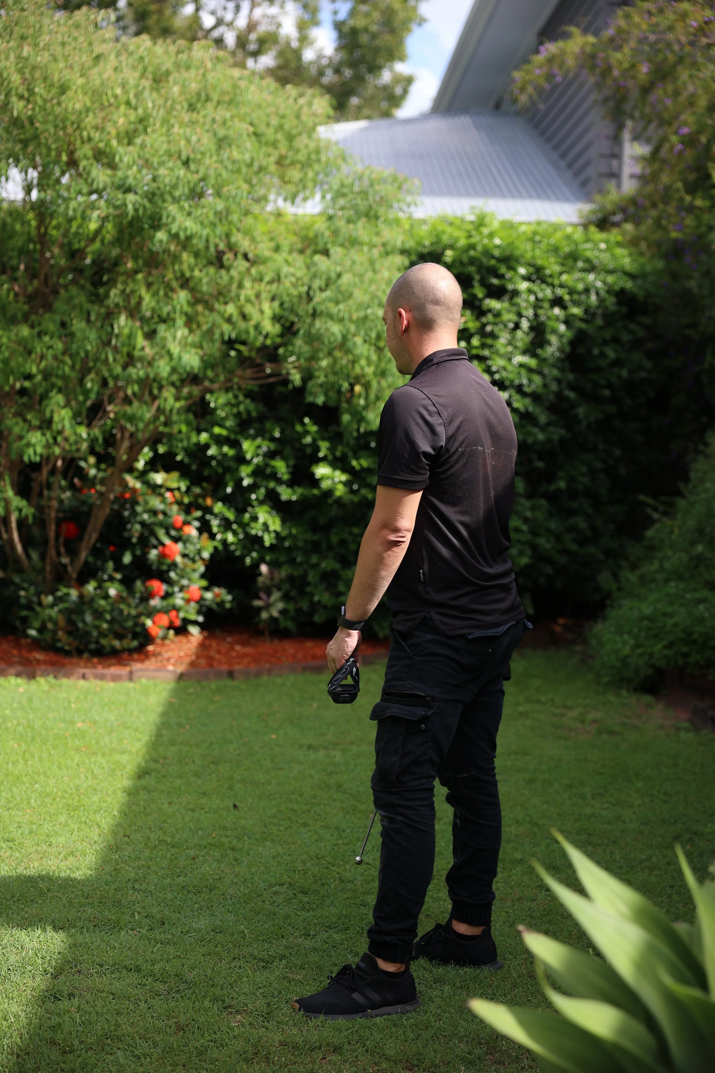 Introducing Termite Pro - Proactive protection for your property