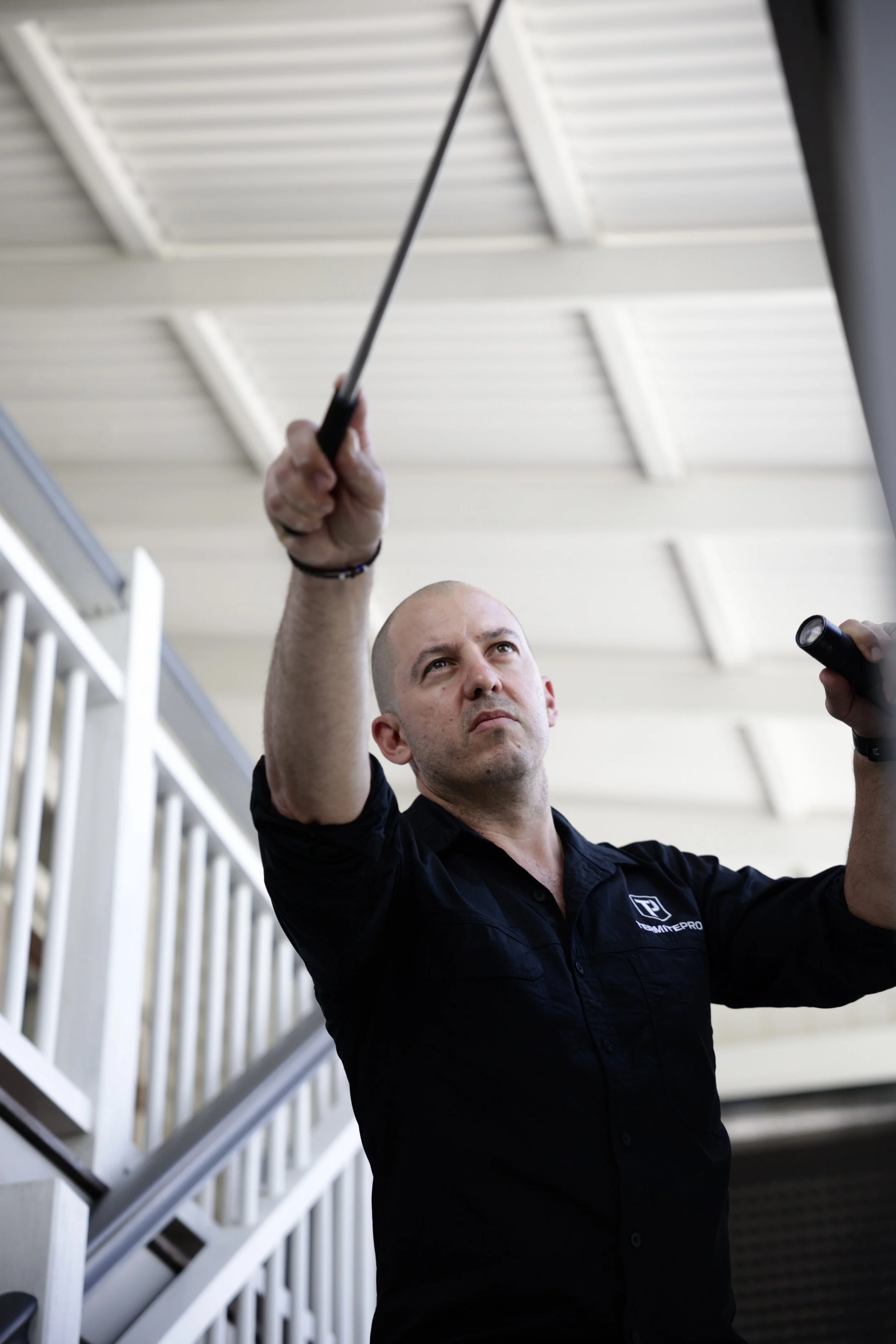 Building and Pest Inspections: Understanding the Limitations