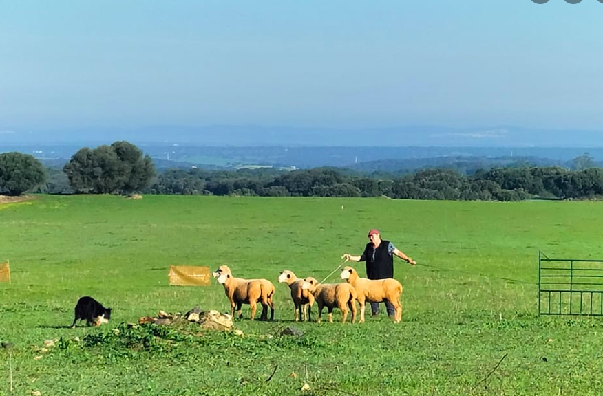 Tosh and Anita 2.png