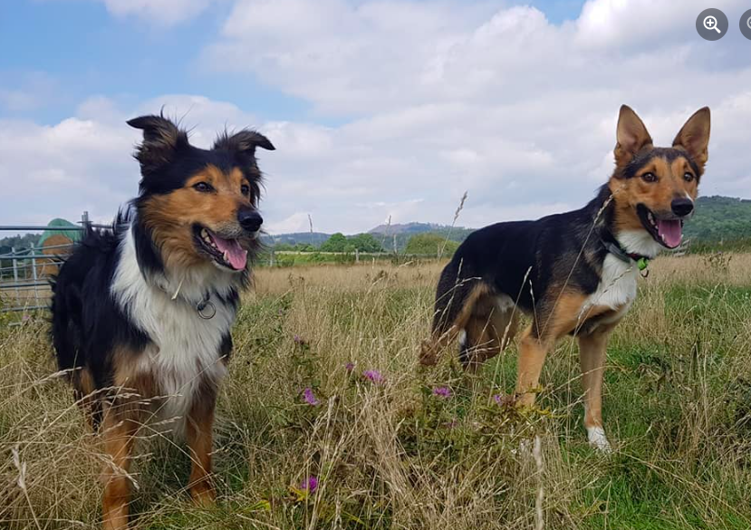 Father Dan and Son Joker.png