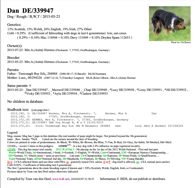 Dan's Pedigree.png