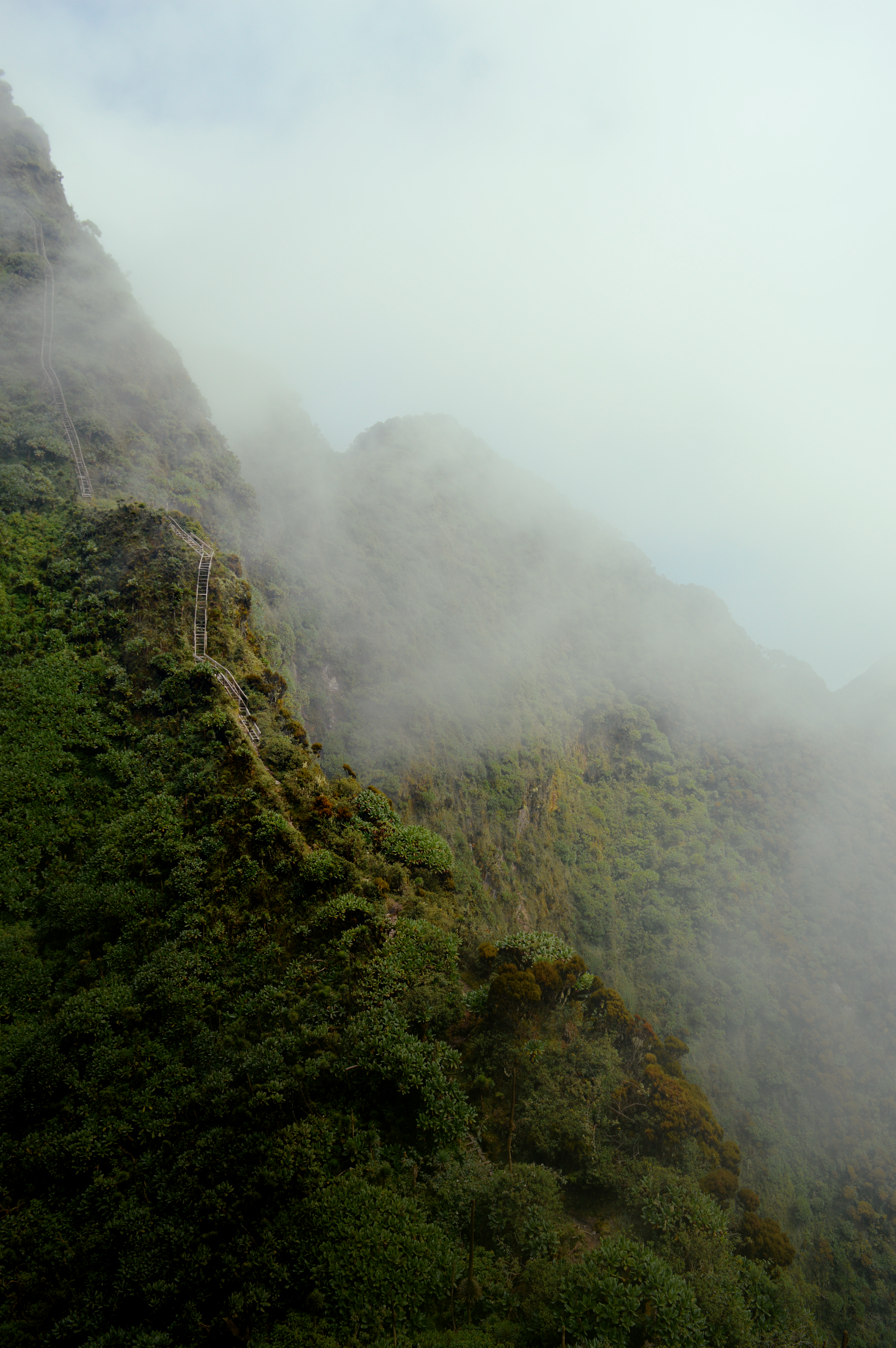 DSC_0814.png