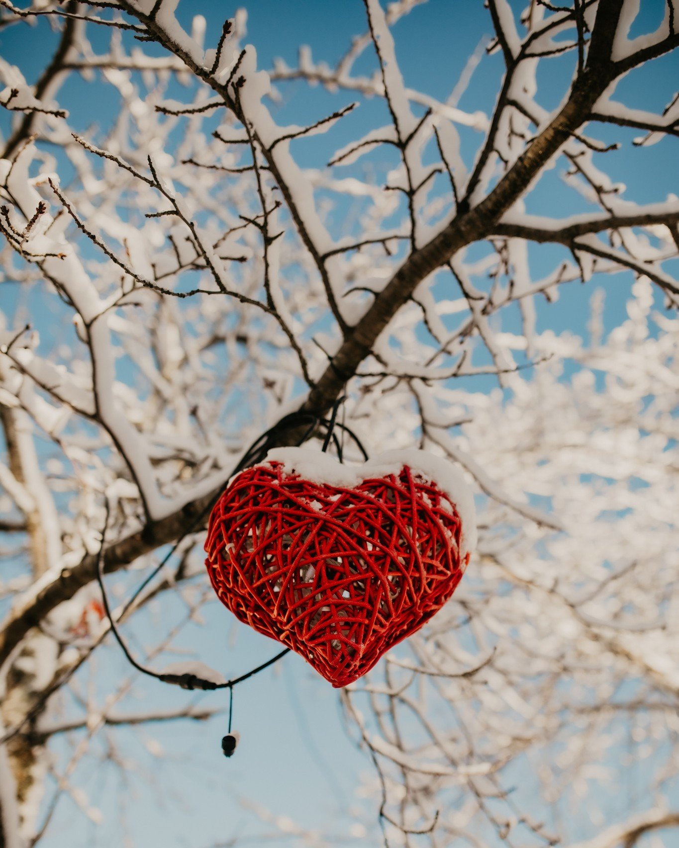 F&ouml;rsta Advent... S&aring; mycket vilar i den h&auml;r dagen. L&auml;ngtan, pirr.. F&ouml;rberedelser inf&ouml;r julens alla bestyr. F&ouml;nstren fylls av ljus n&auml;r dagarna blir kortare, m&ouml;rkare. F&ouml;r oss inneb&auml;r December f&oum