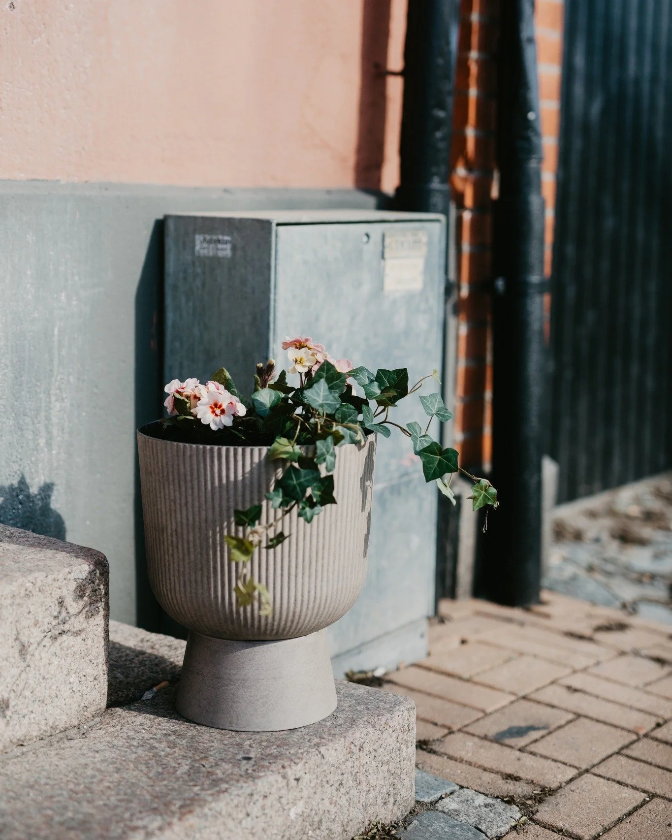Vi &auml;r riktigt v&aring;rpirriga idag! Det planterades minsann v&aring;rblommor som fick pryda trappan till SAY HOUSE idag och vi k&auml;nner livet i oss fullt ut. 🫶🥰 Wiho!