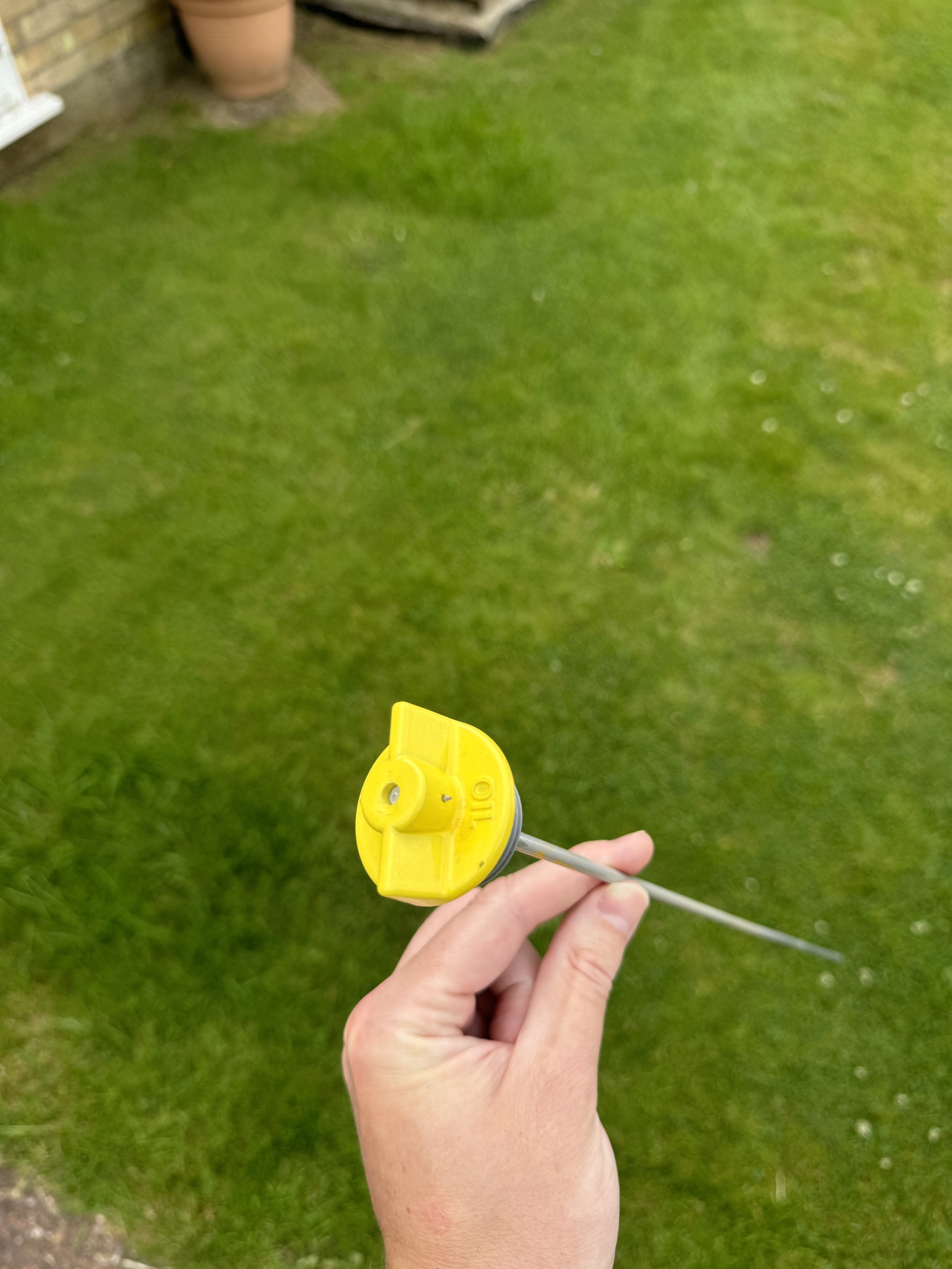 IMG_8669.jpeg