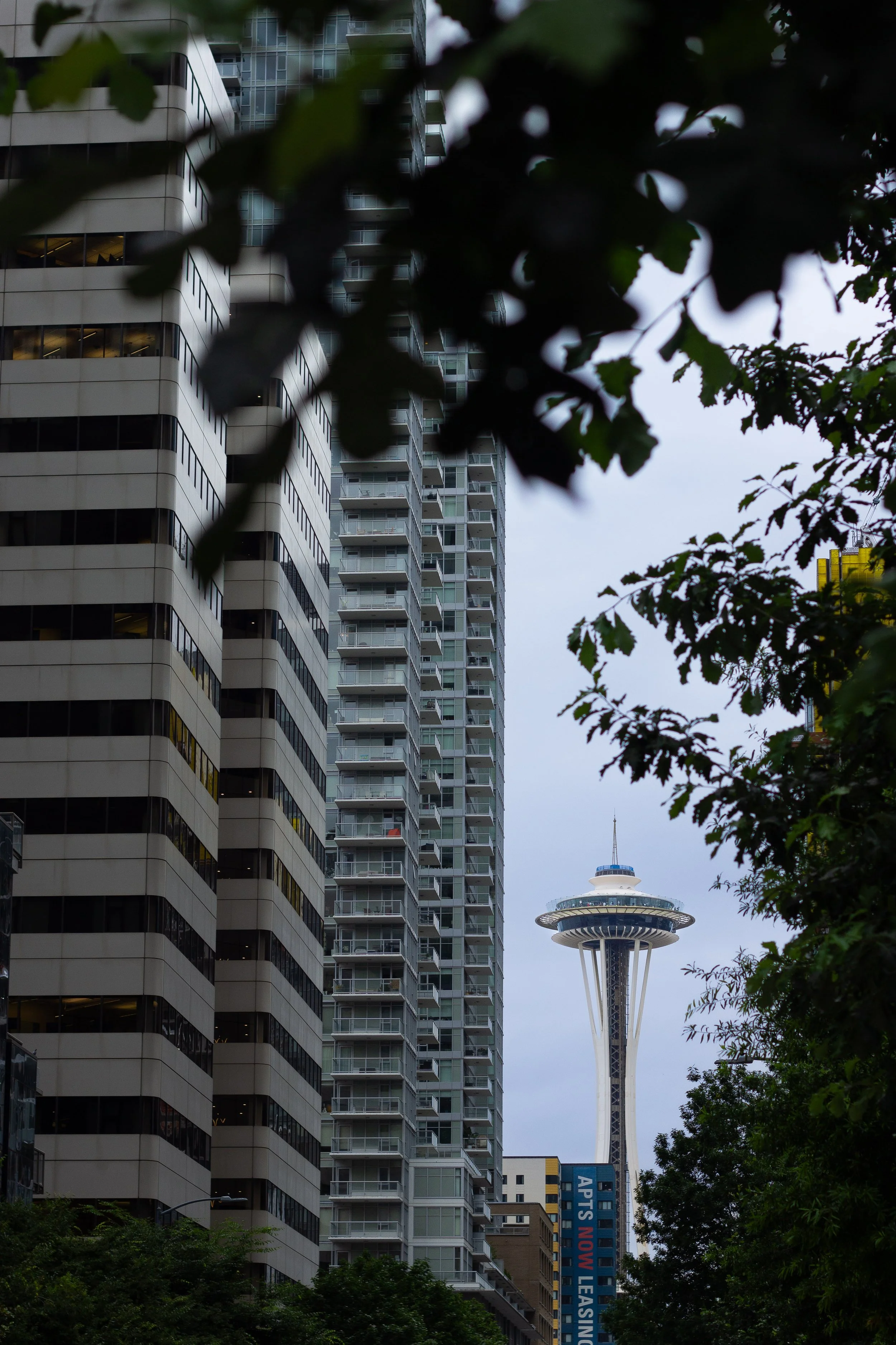 Seattle-05.jpg