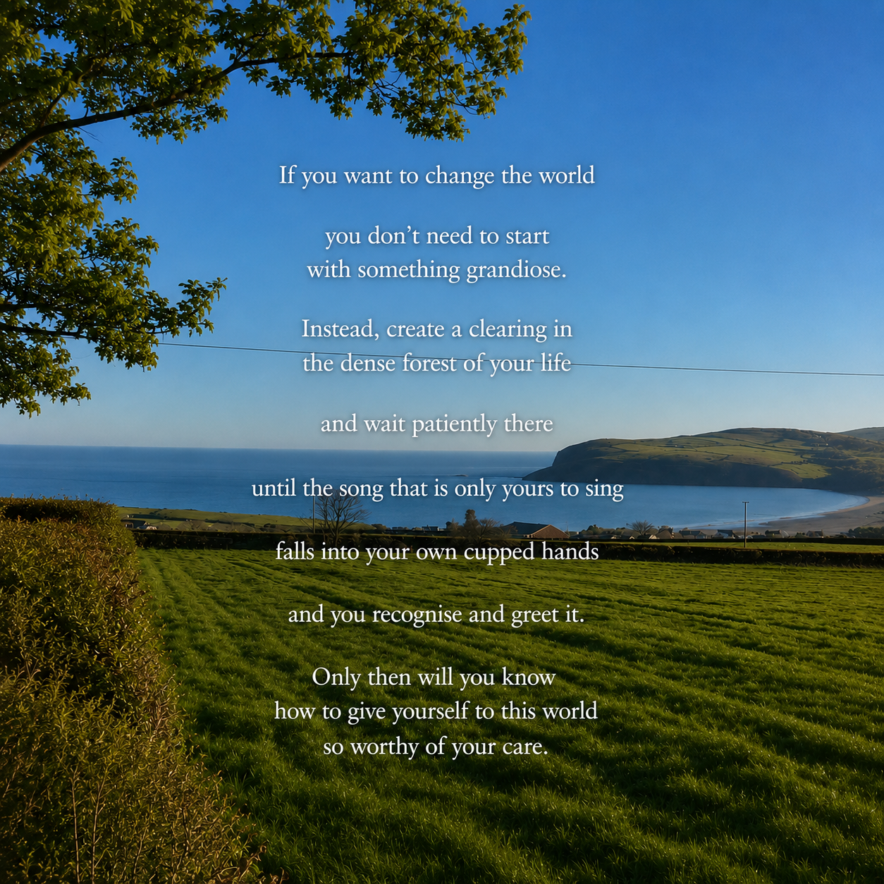 Create a clearing in the dense forest of you life