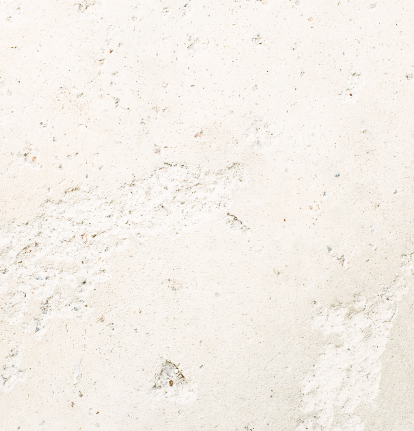 Close-up of a textured concrete wall surface with a light, rough appearance.