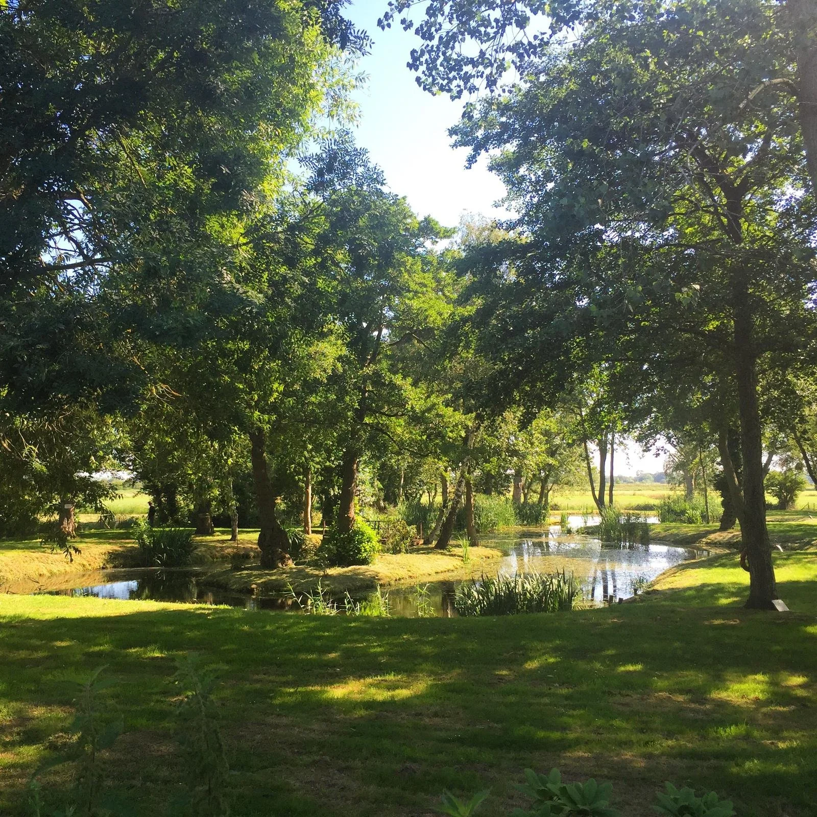 Photo 11-06-2025, 18 28 22.jpg