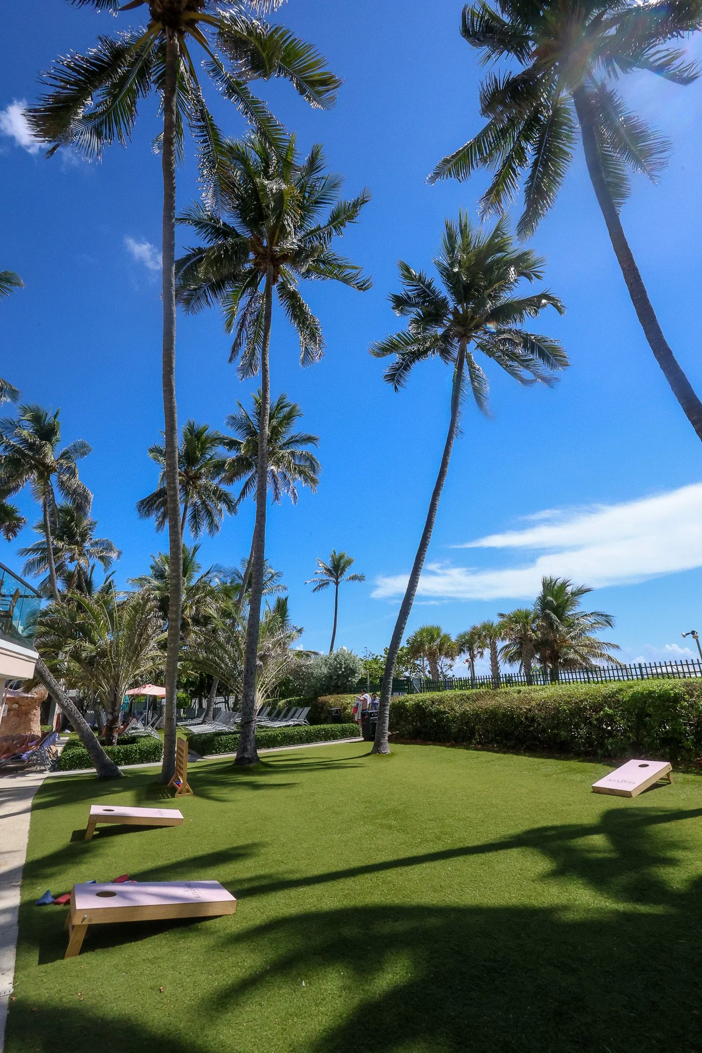 2025-08-19 13-12-59.jpeg