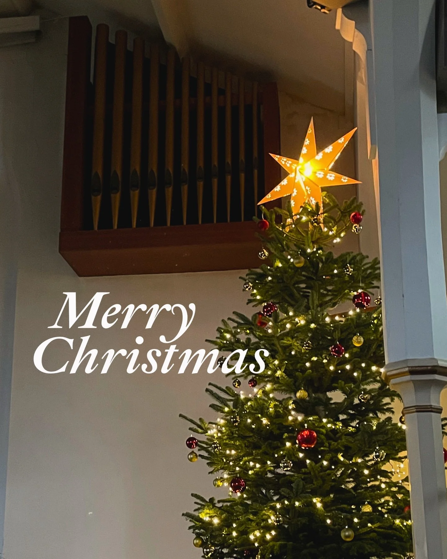 Merry Christmas from the Student Team! 🎄✨