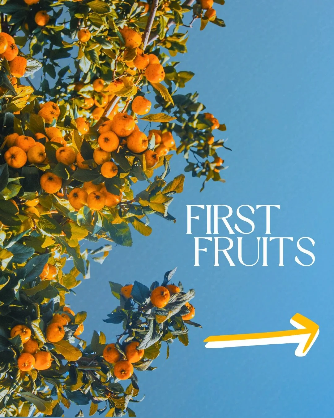 🍌🍊🍎🍓🍍🍒🍋🥑🍉