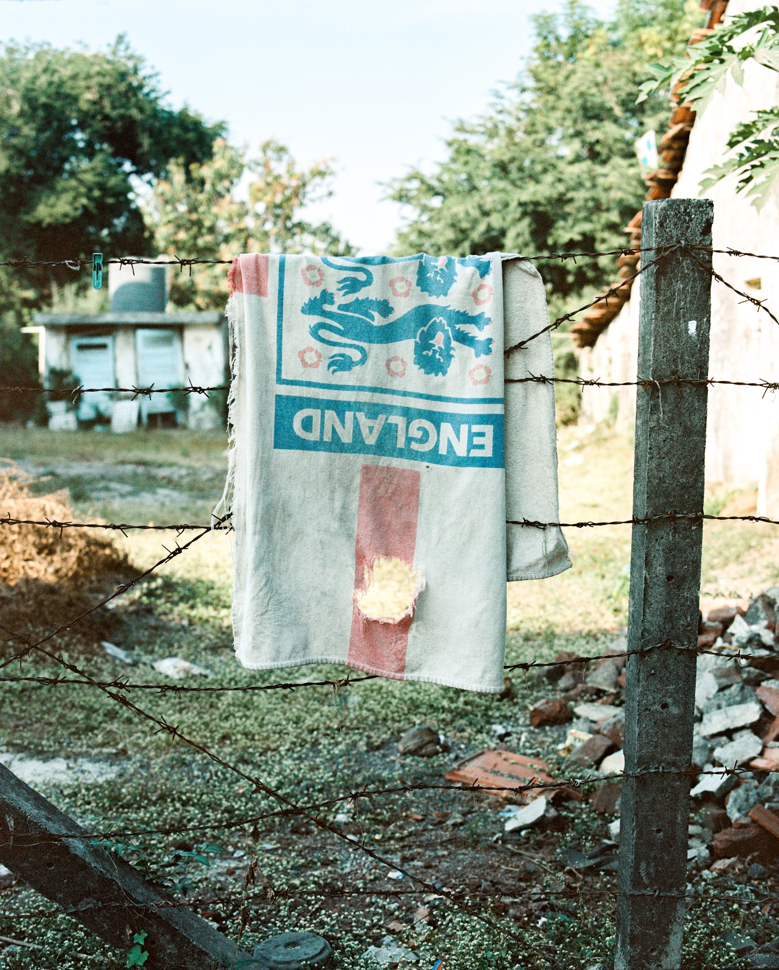 p40.jpg