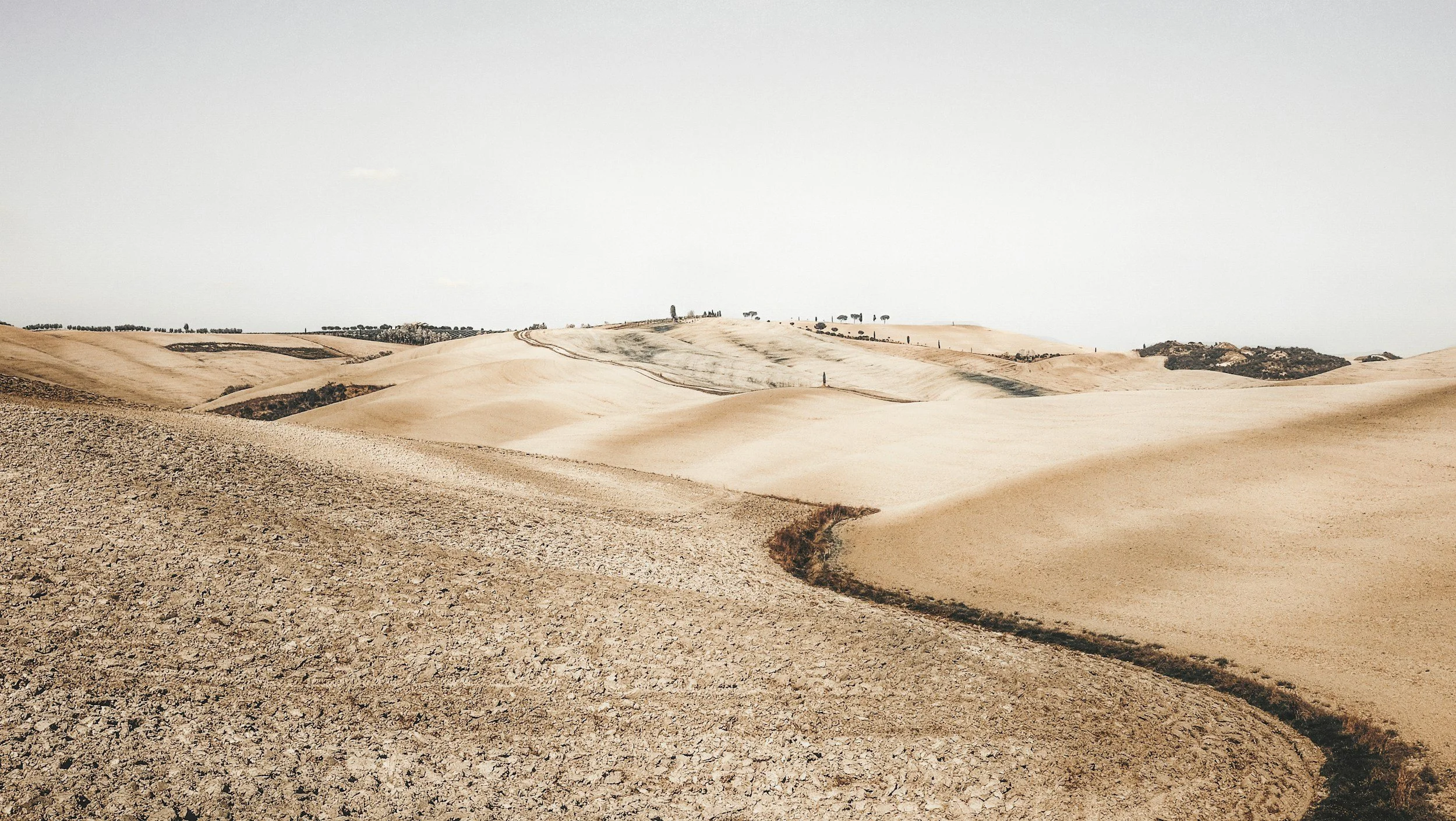 A serene desert landscape featuring rolling sand dunes and scattered trees under a clear blue sky.