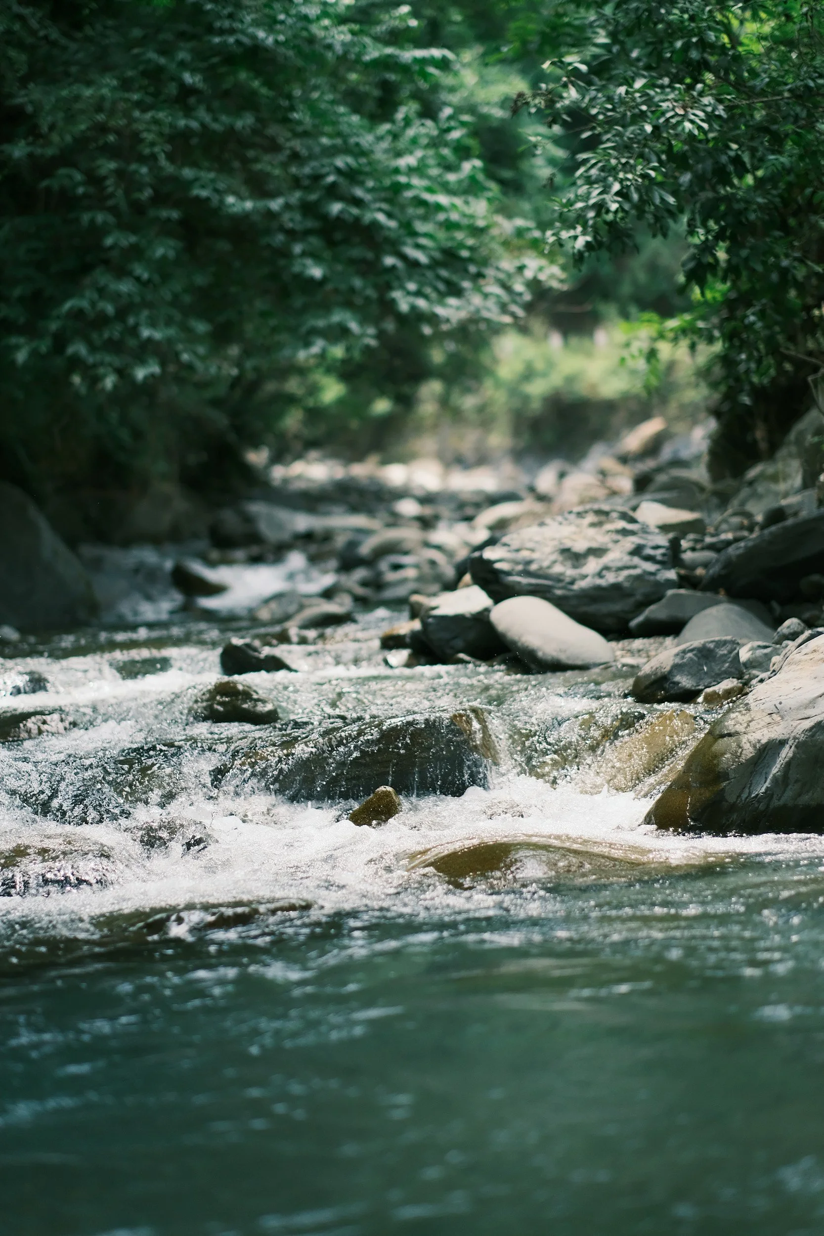 rocky river flowing down stream 