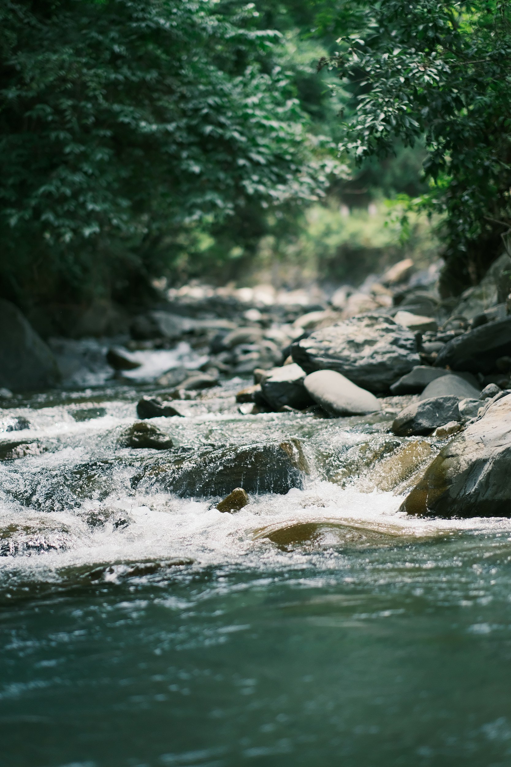 A fast flowing river of water cascading over rocks