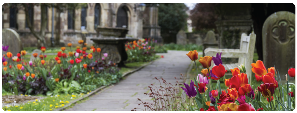 Colorful tulips and other flowers in a cemetery with old gravestones and a stone pathway.