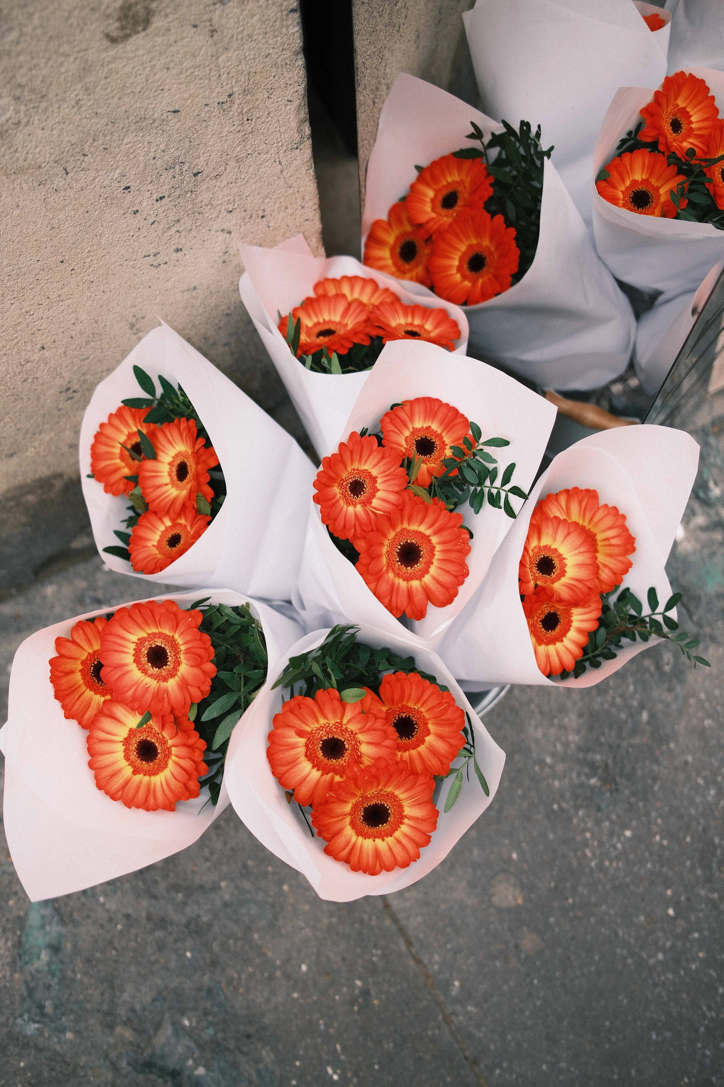 Bouquets of orange daisies wrapped in white paper displayed on the sidewalk.