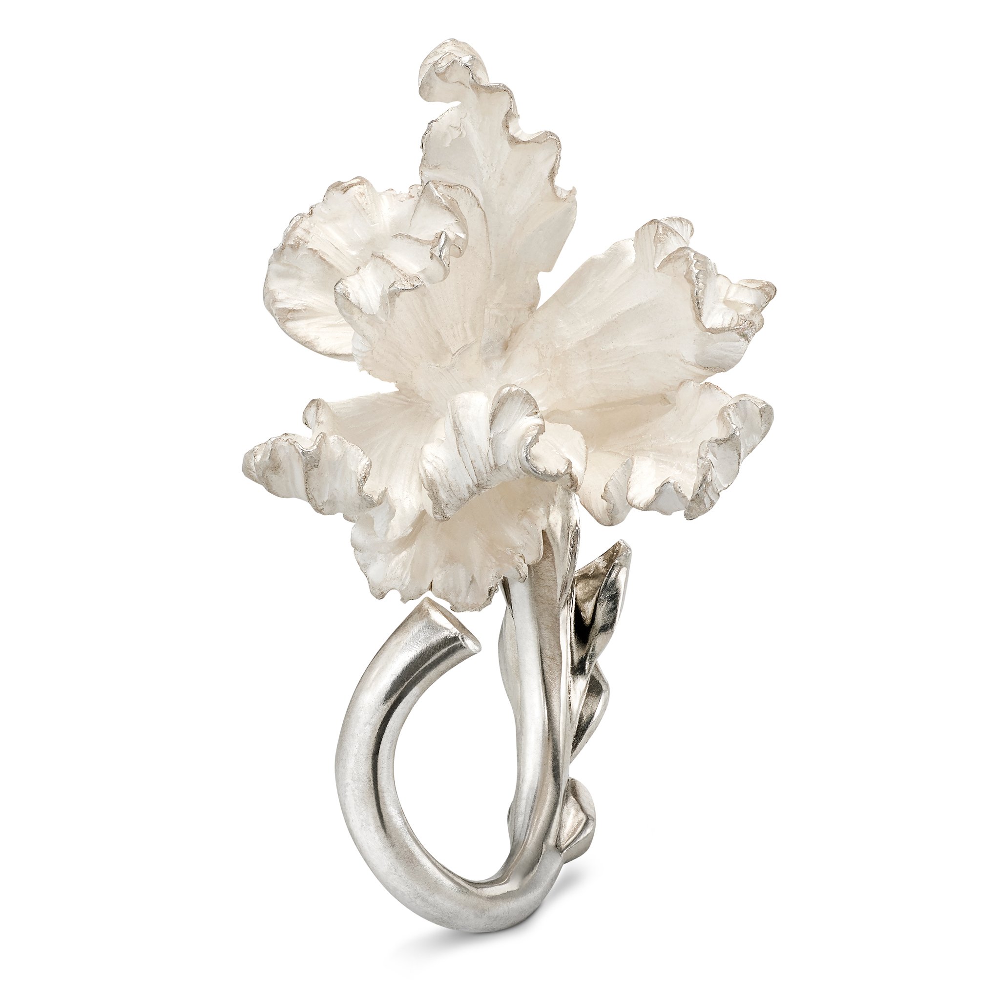 TB_Ring2_01.jpg