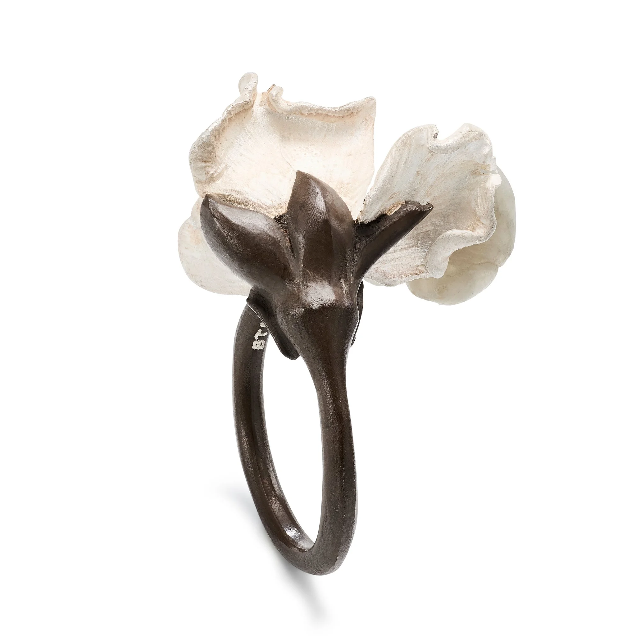 TB_Ring_01.jpg