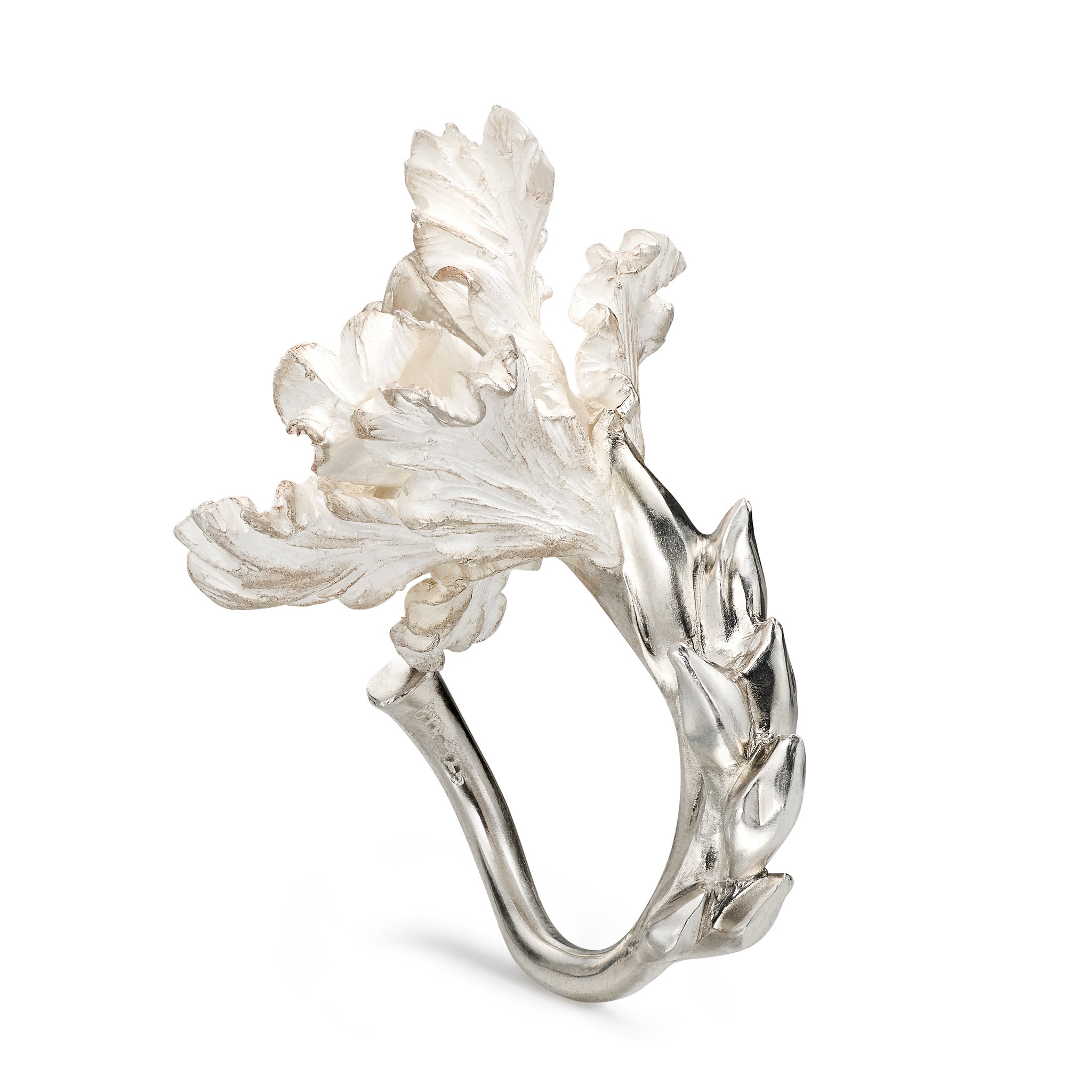 TB_Ring2_02.jpg