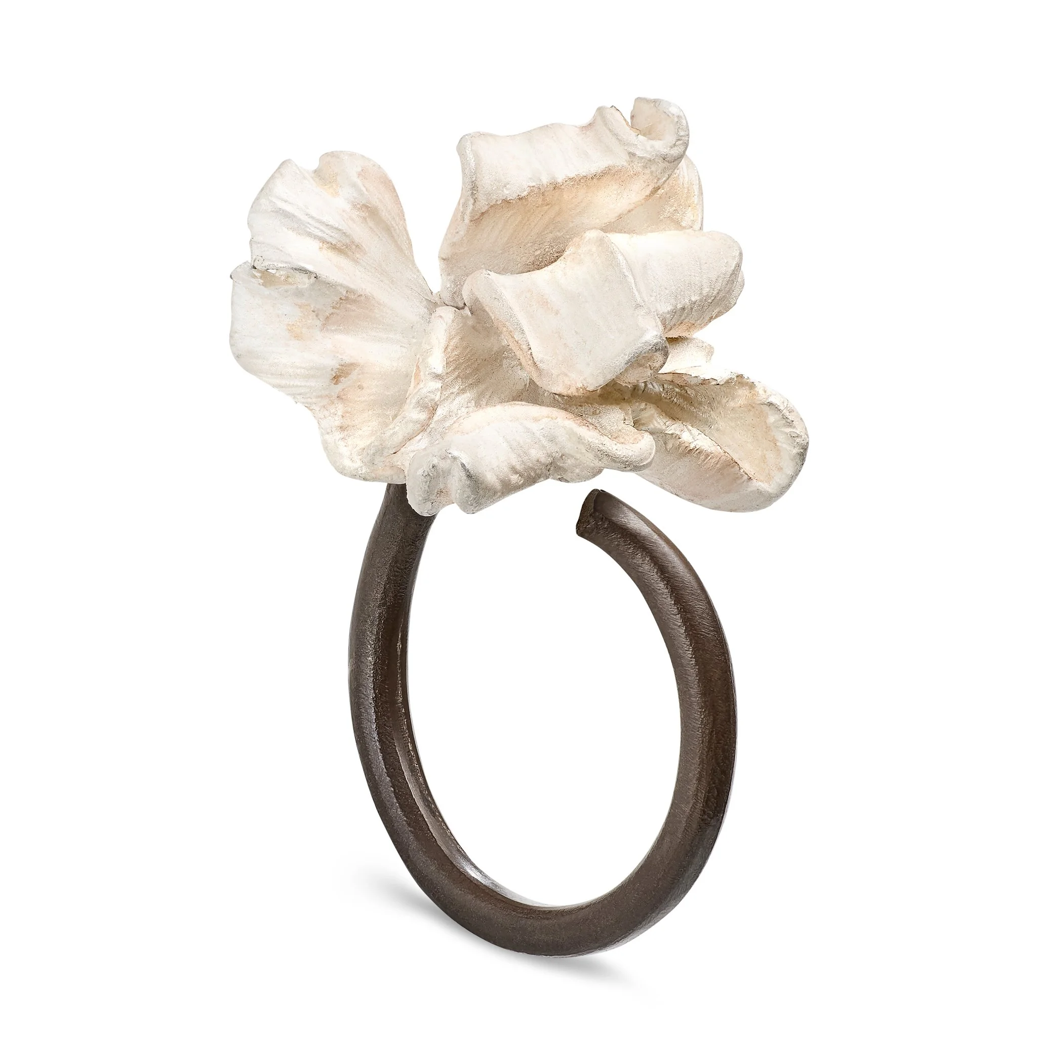 TB_Ring_02.jpg