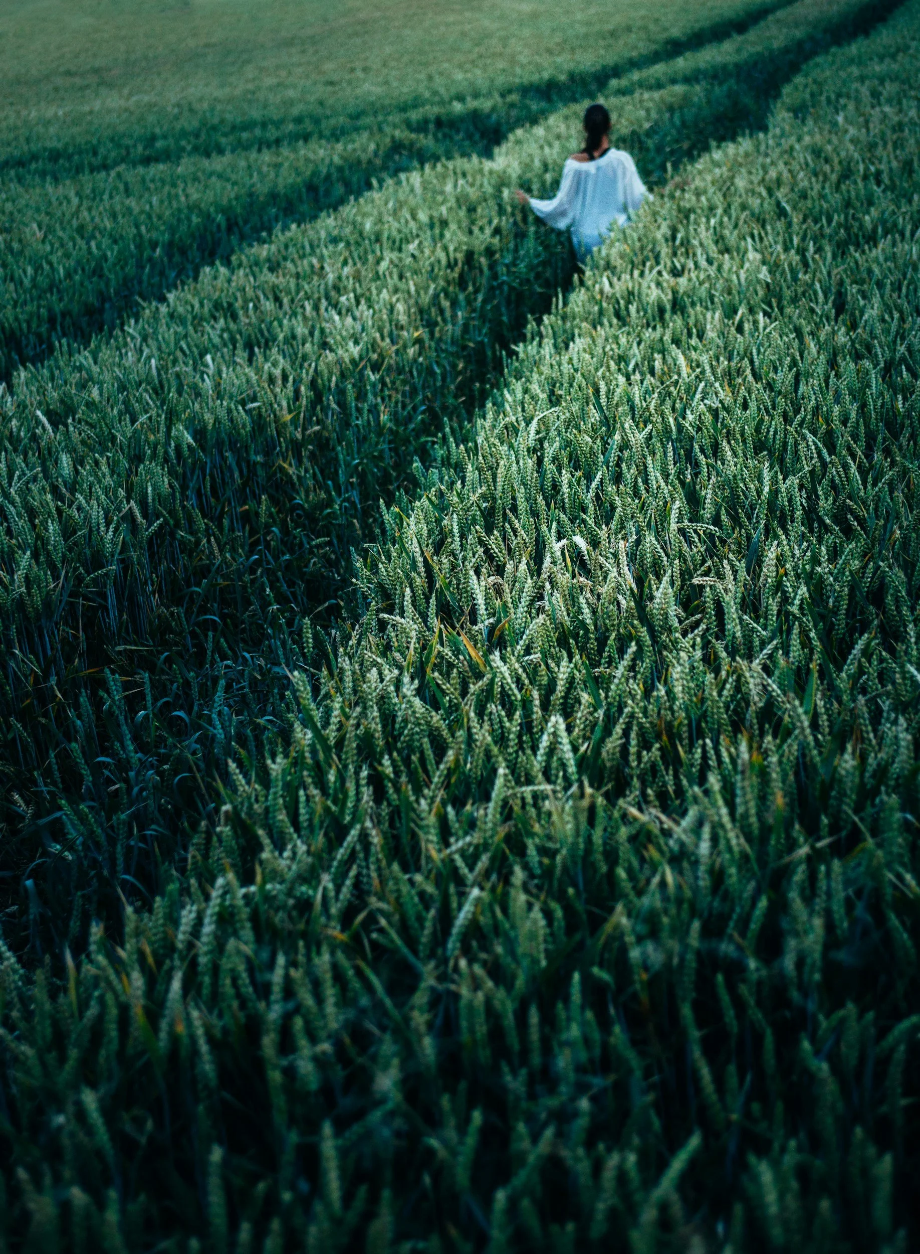 woman walking through field on a journey of self discovery