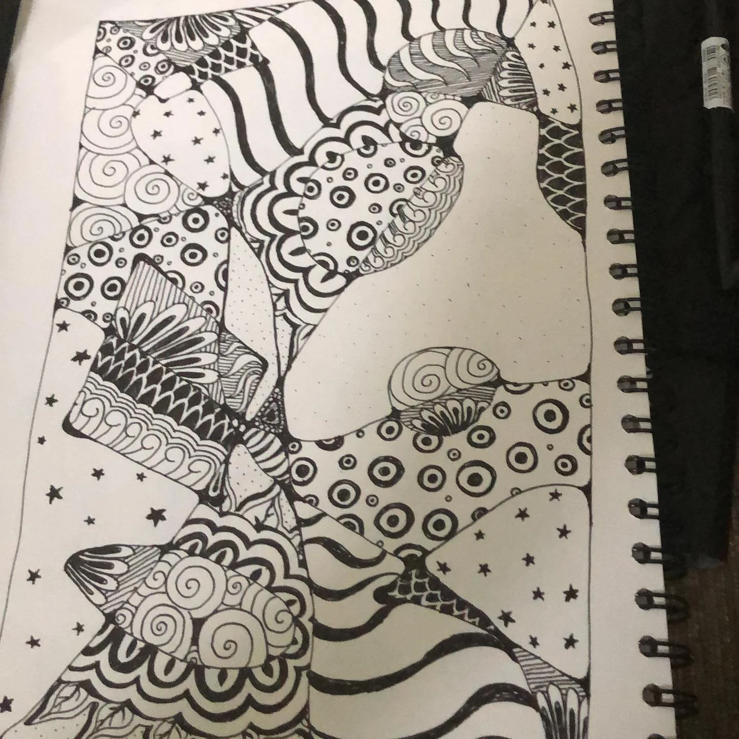 Arty things #zentangleart #pentelsignpen #doodles