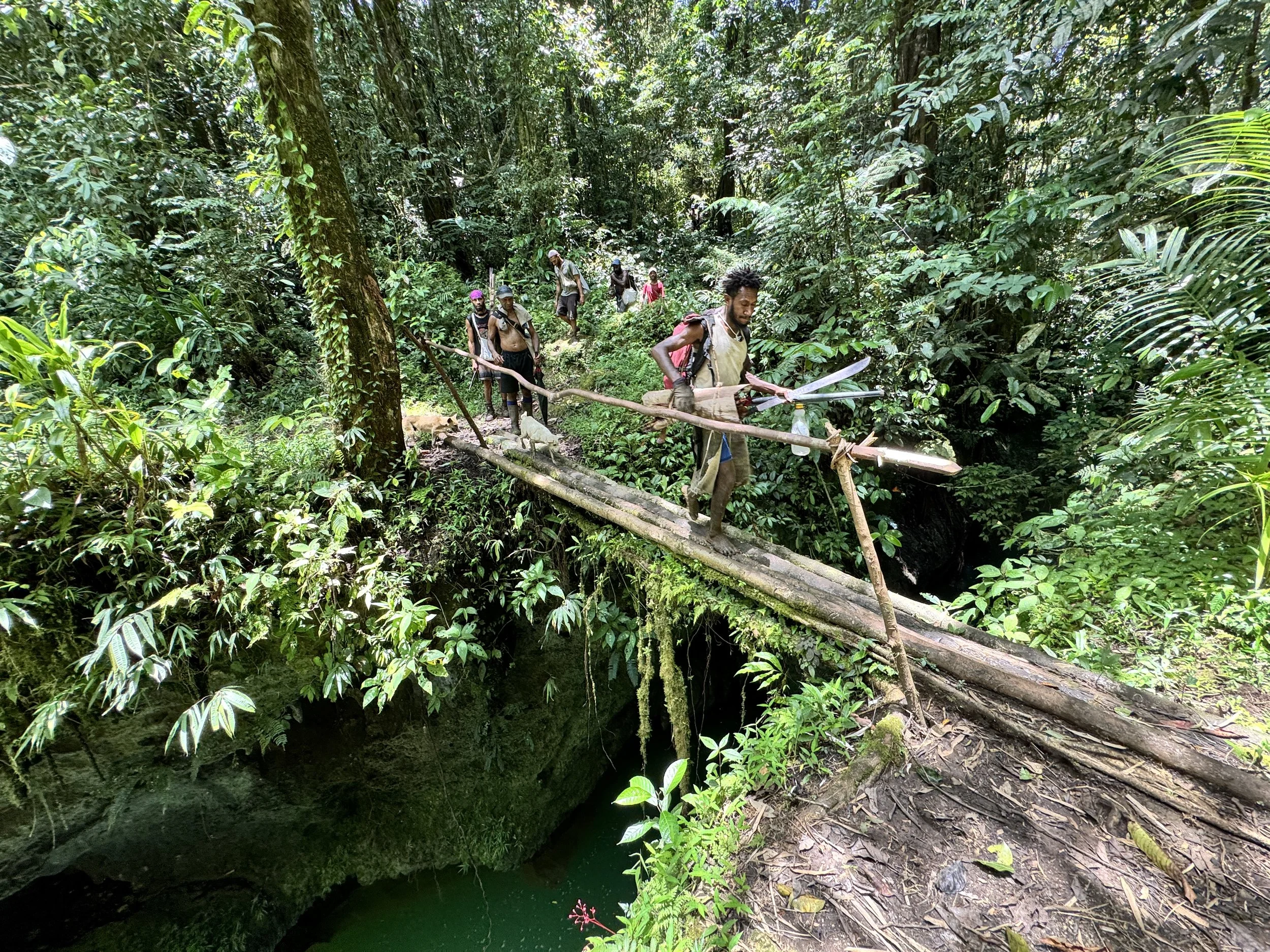 A group of people crossing a narrow, makeshift wooden bridge over a deep, green gorge in a dense jungle.