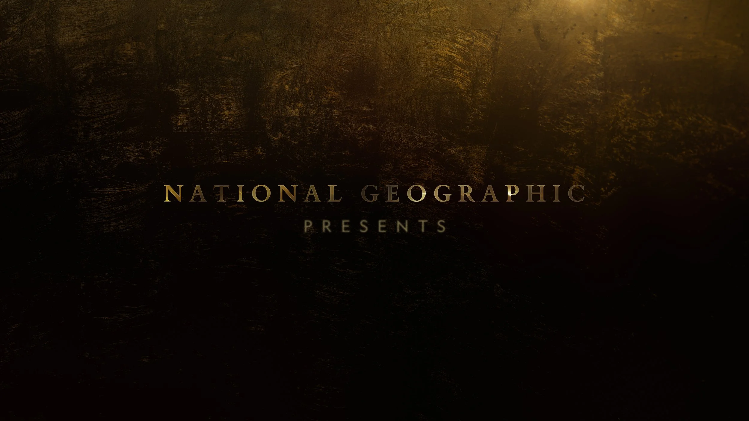 Ng Presents GOLD__3_00050.jpg