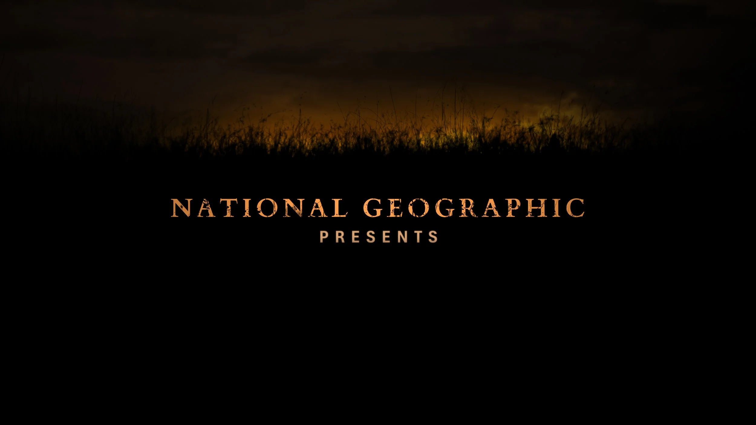 pedigree NG  grasslands 3__1_00094.jpg