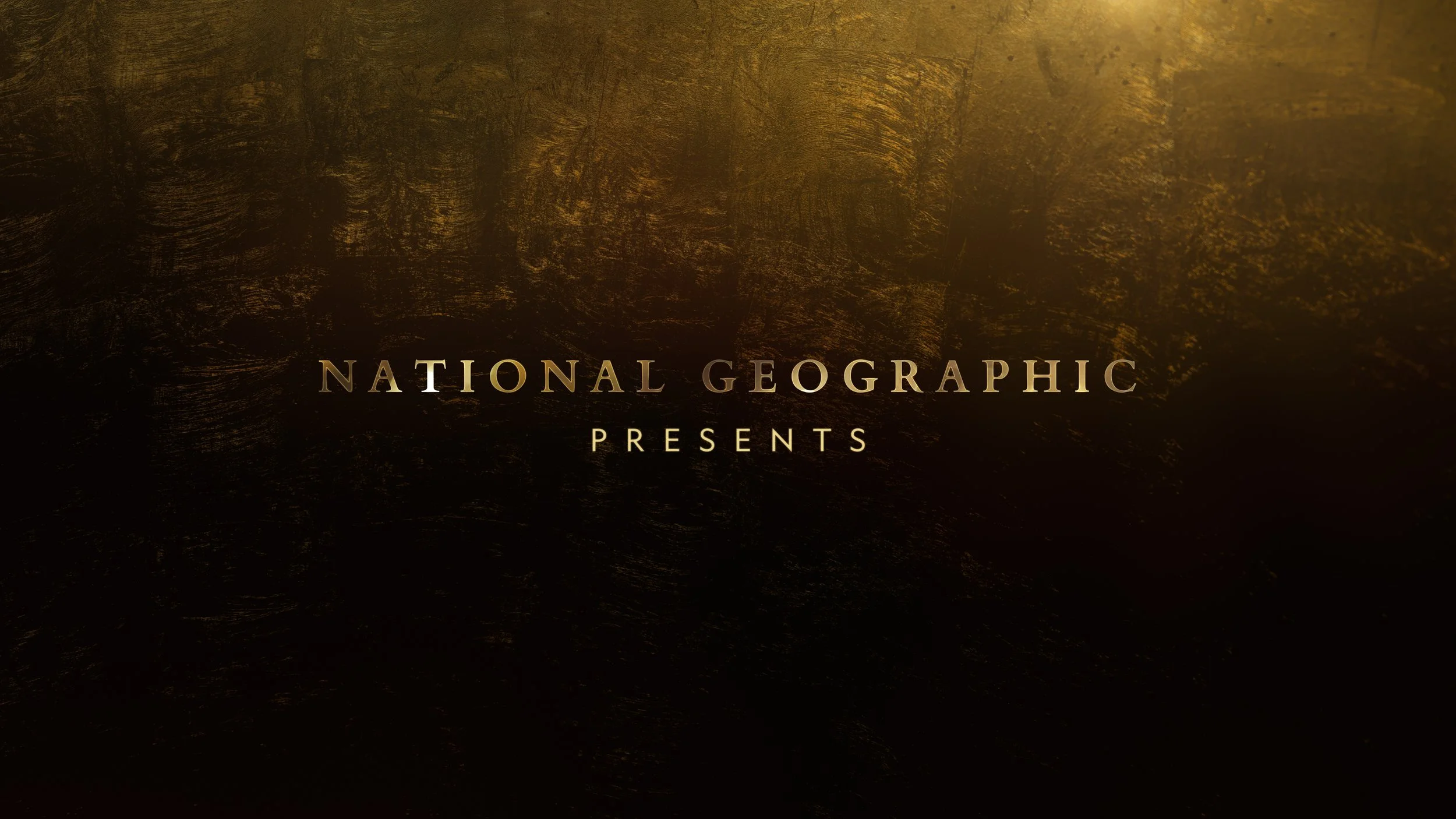 Ng Presents GOLD__4_00083.jpg