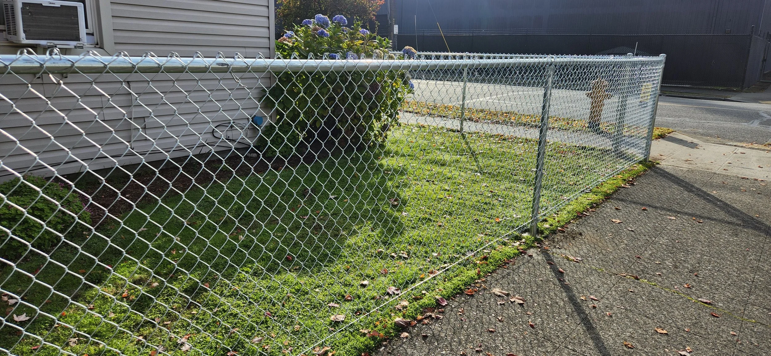 View of a chain-link fence surrounding a small grass area with a hydrangea bush near a house, on a sunny day with some fallen leaves on the sidewalk.