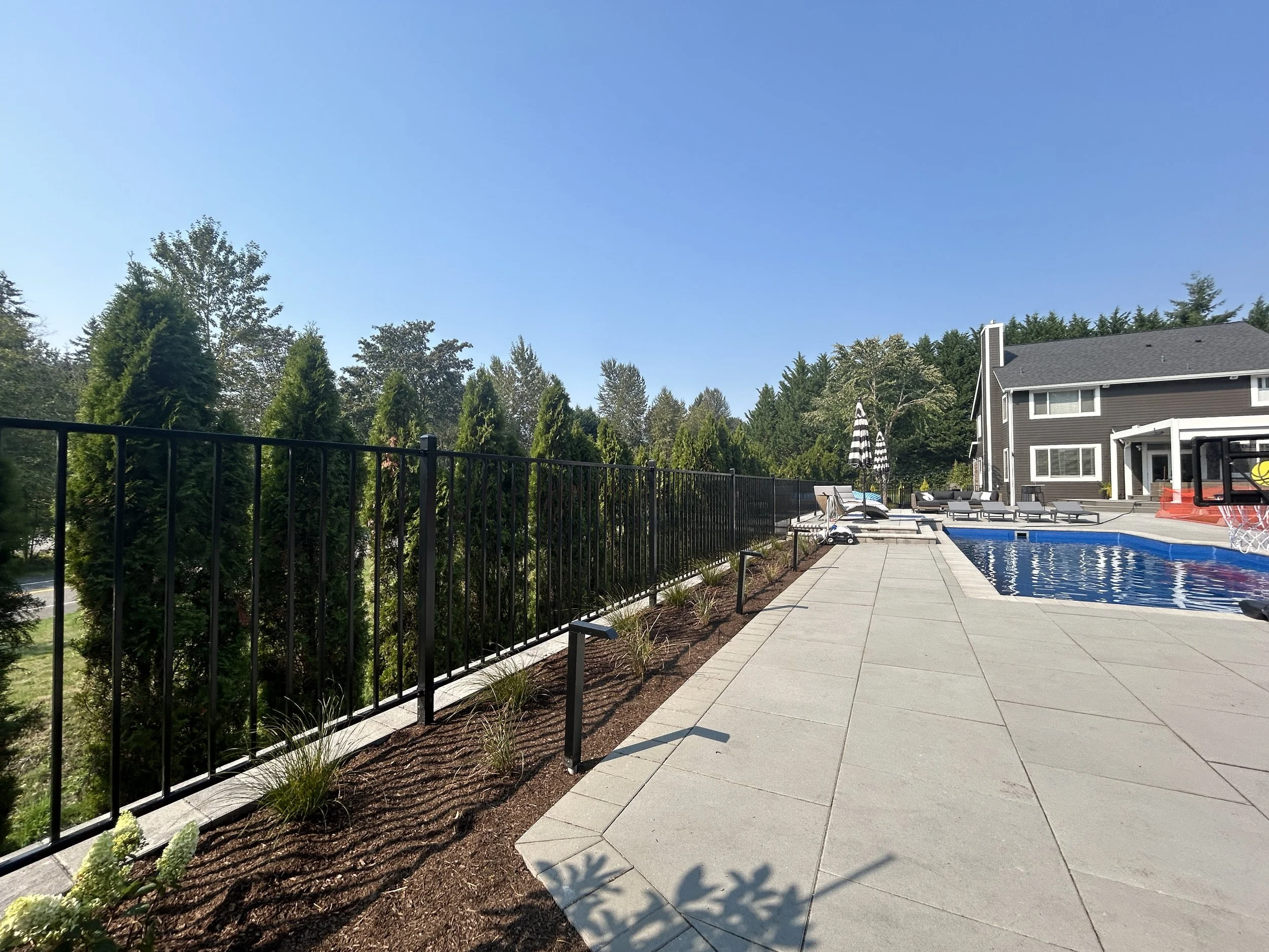 Jill 1 Ornamental.JPG