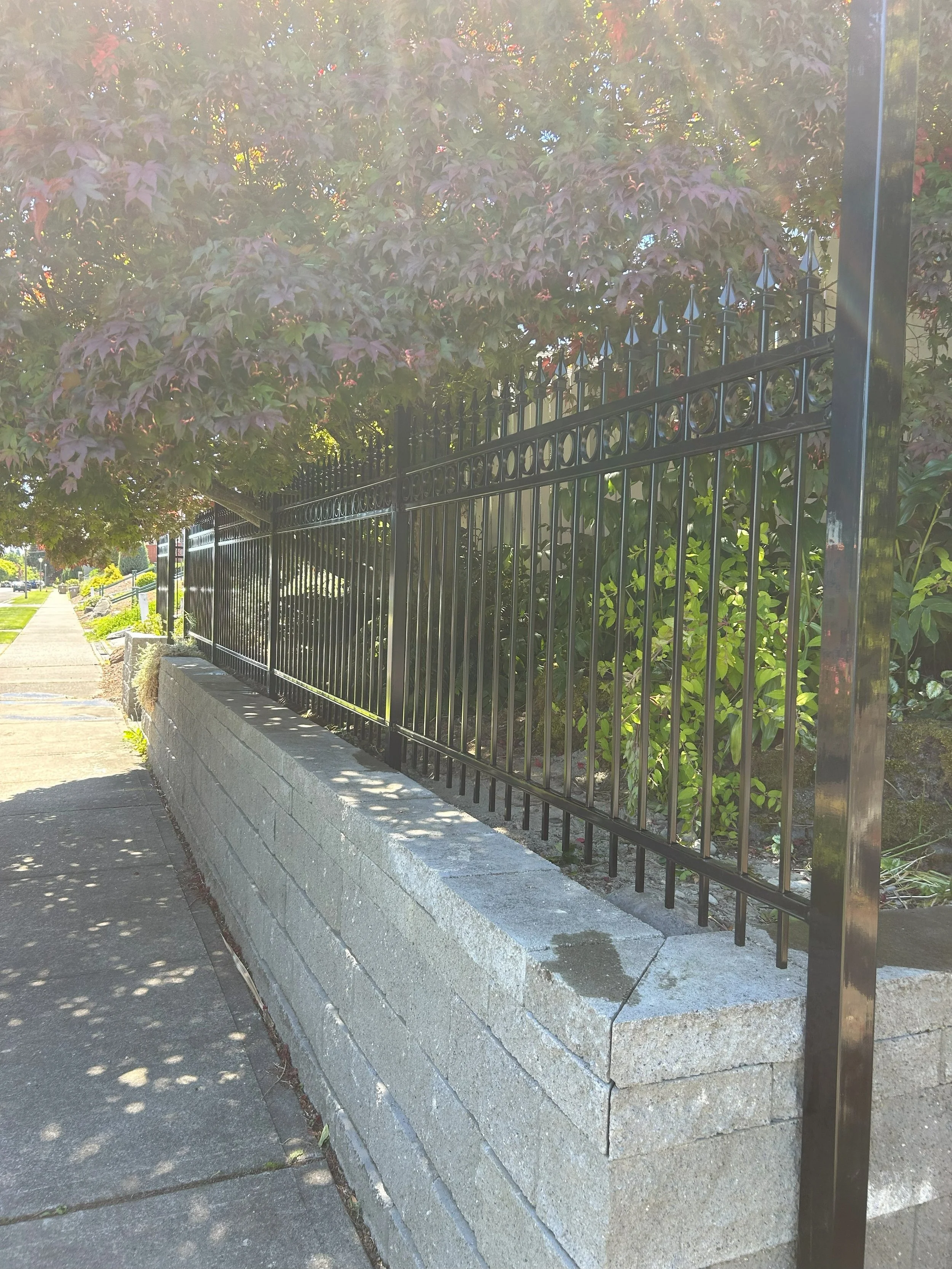 A sidewalk runs along a concrete block wall topped with a decorative black metal fence, with trees and greenery behind the fence casting shadows on the sidewalk.