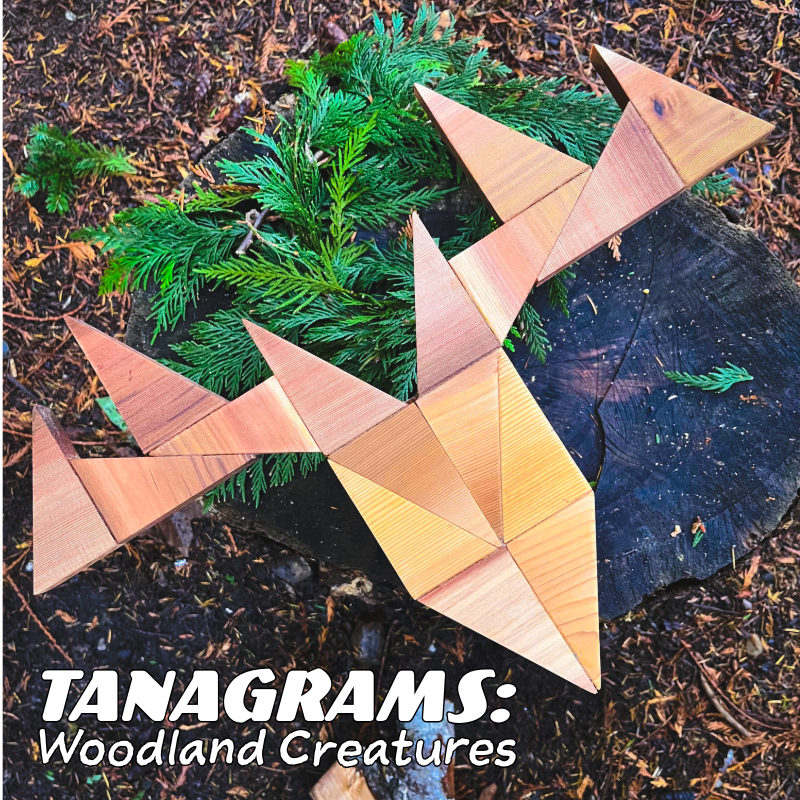 Tanagrams Woodland Creatures.png