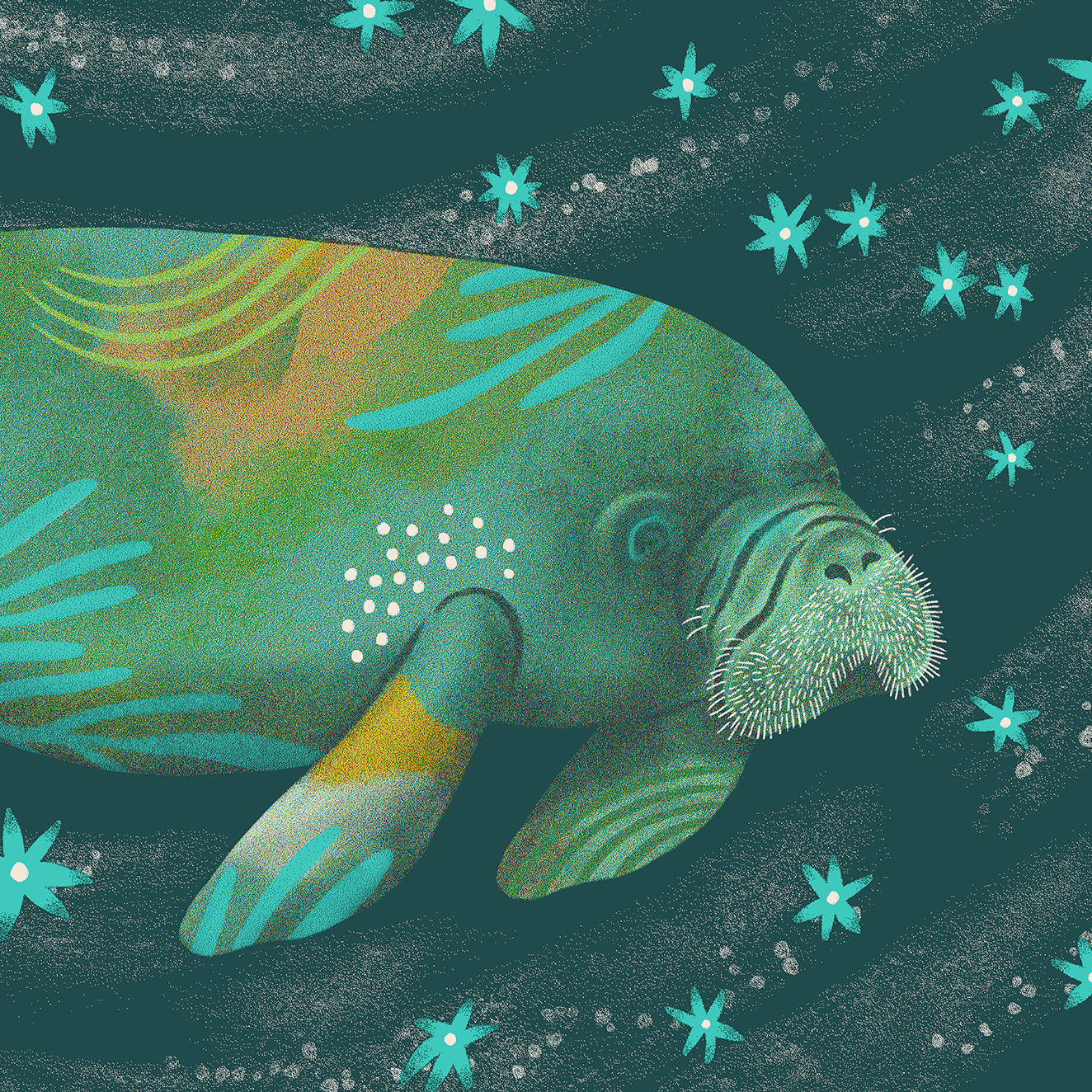 Avett_101026_Manatee_2.png