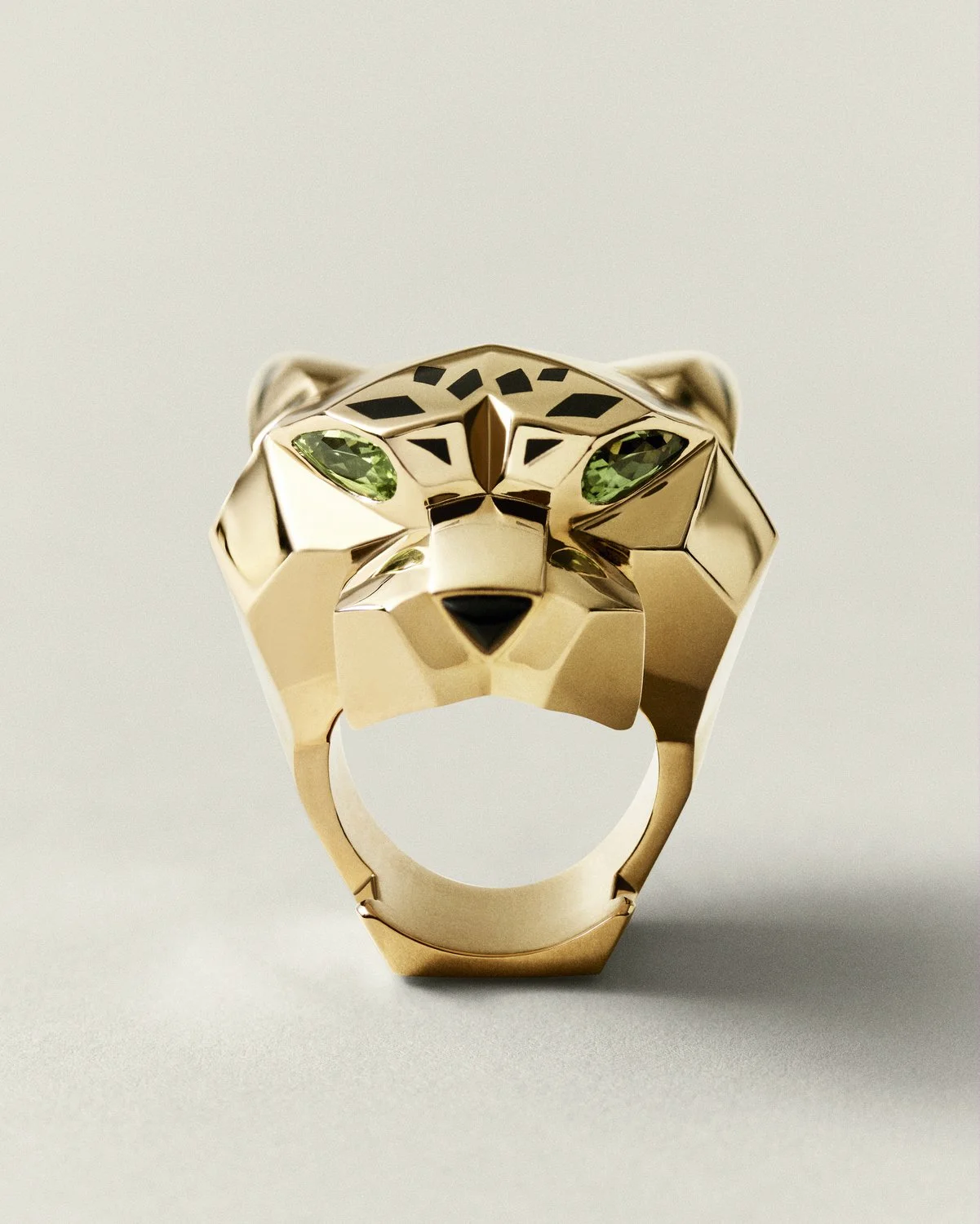 野性之美：卡地亚动物王国