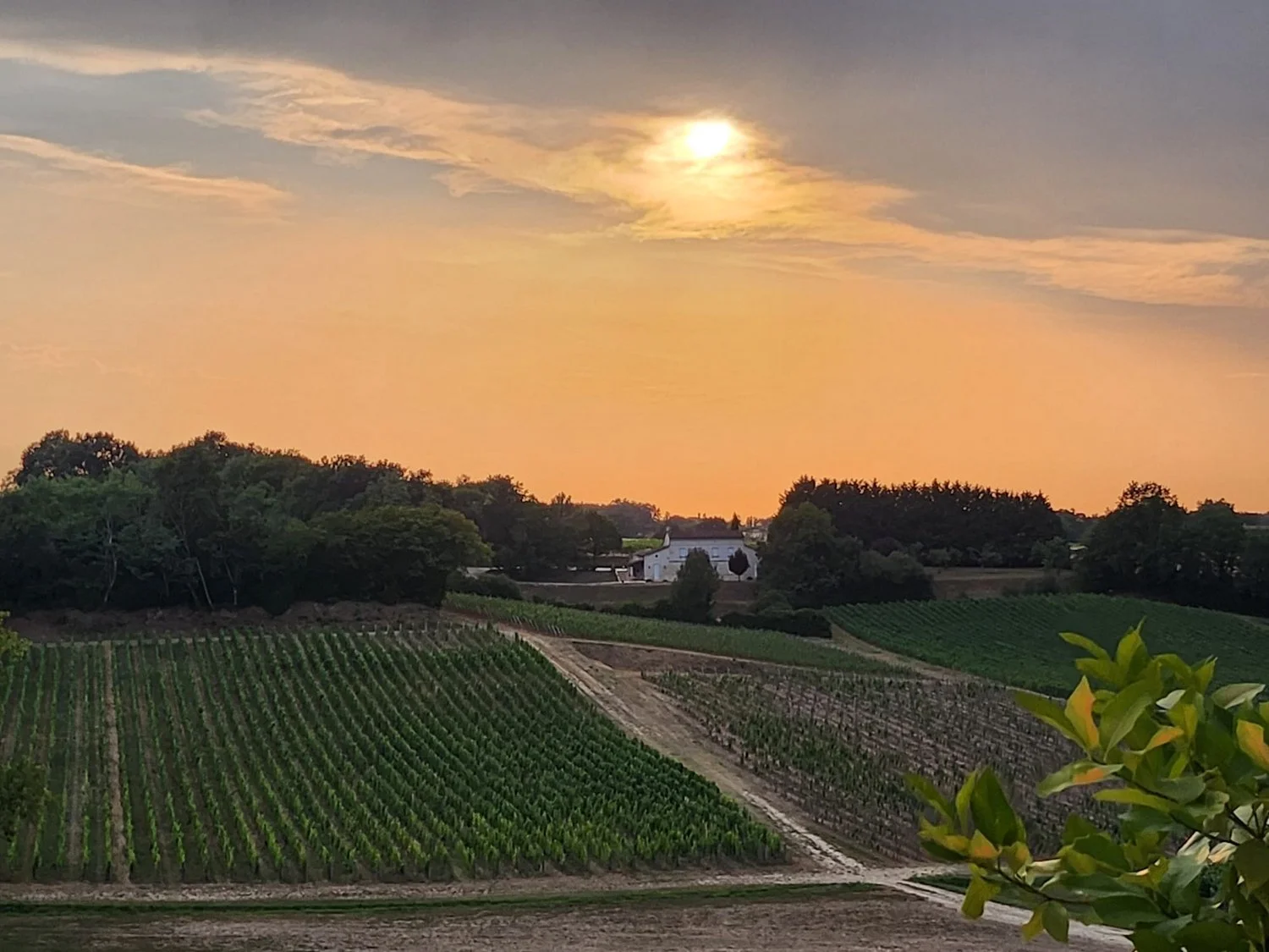 la-maison-plain-point-bordeaux-vineyard-estate-09.jpg