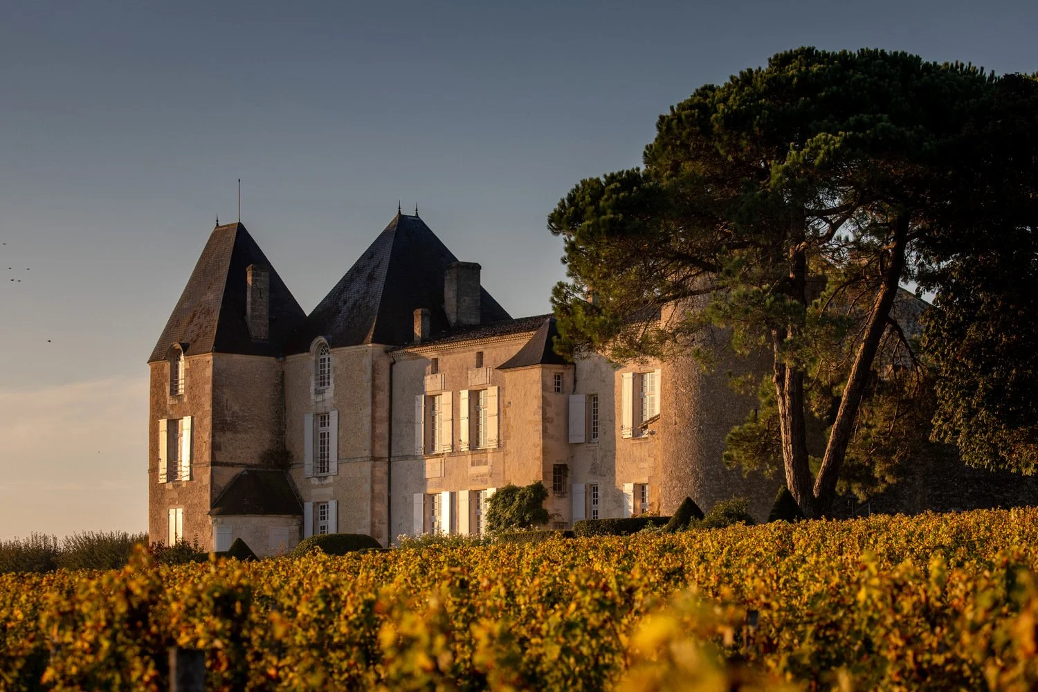 (C)Deepix_Châteauext_25 (2) (1).jpg